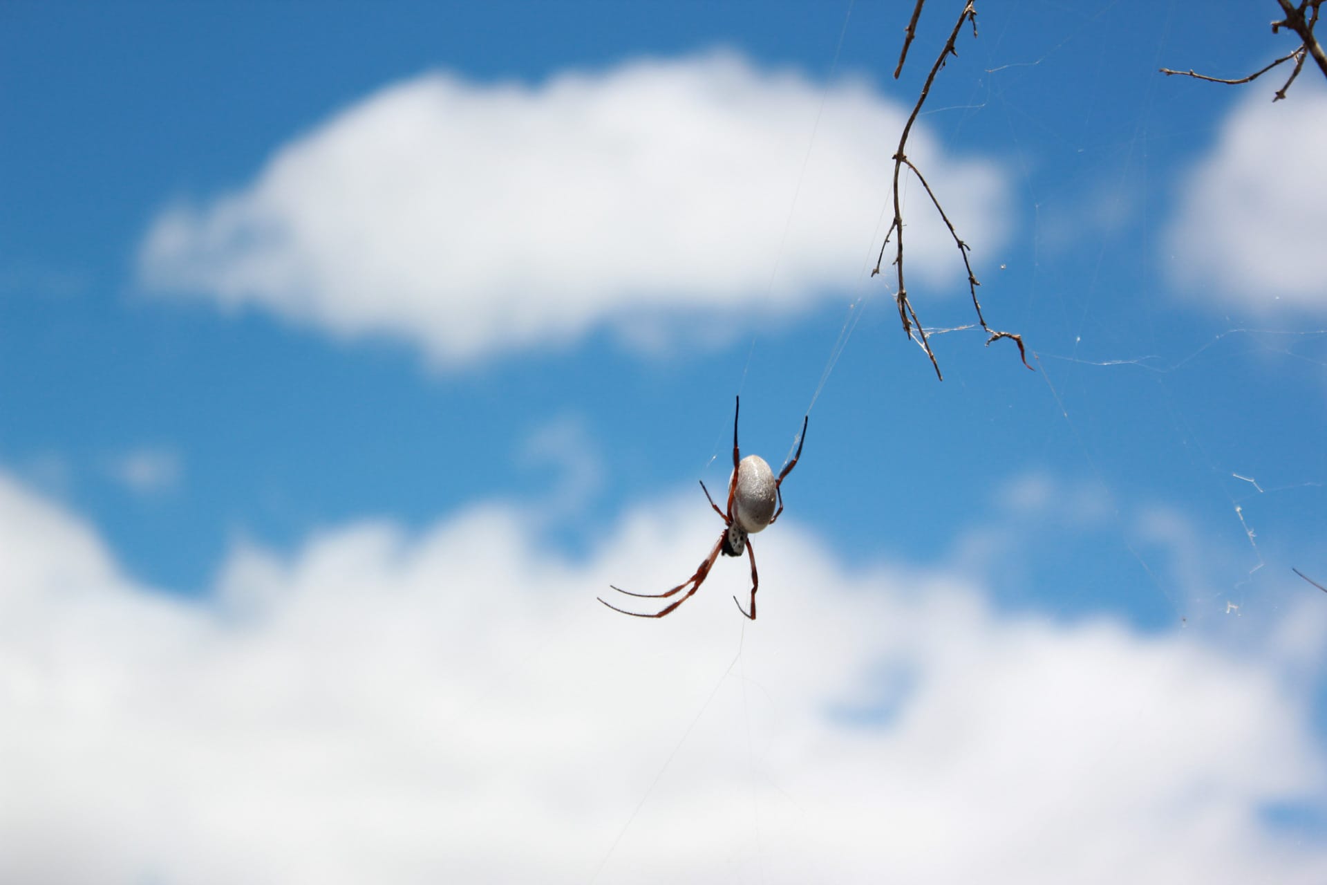 visit central queensland