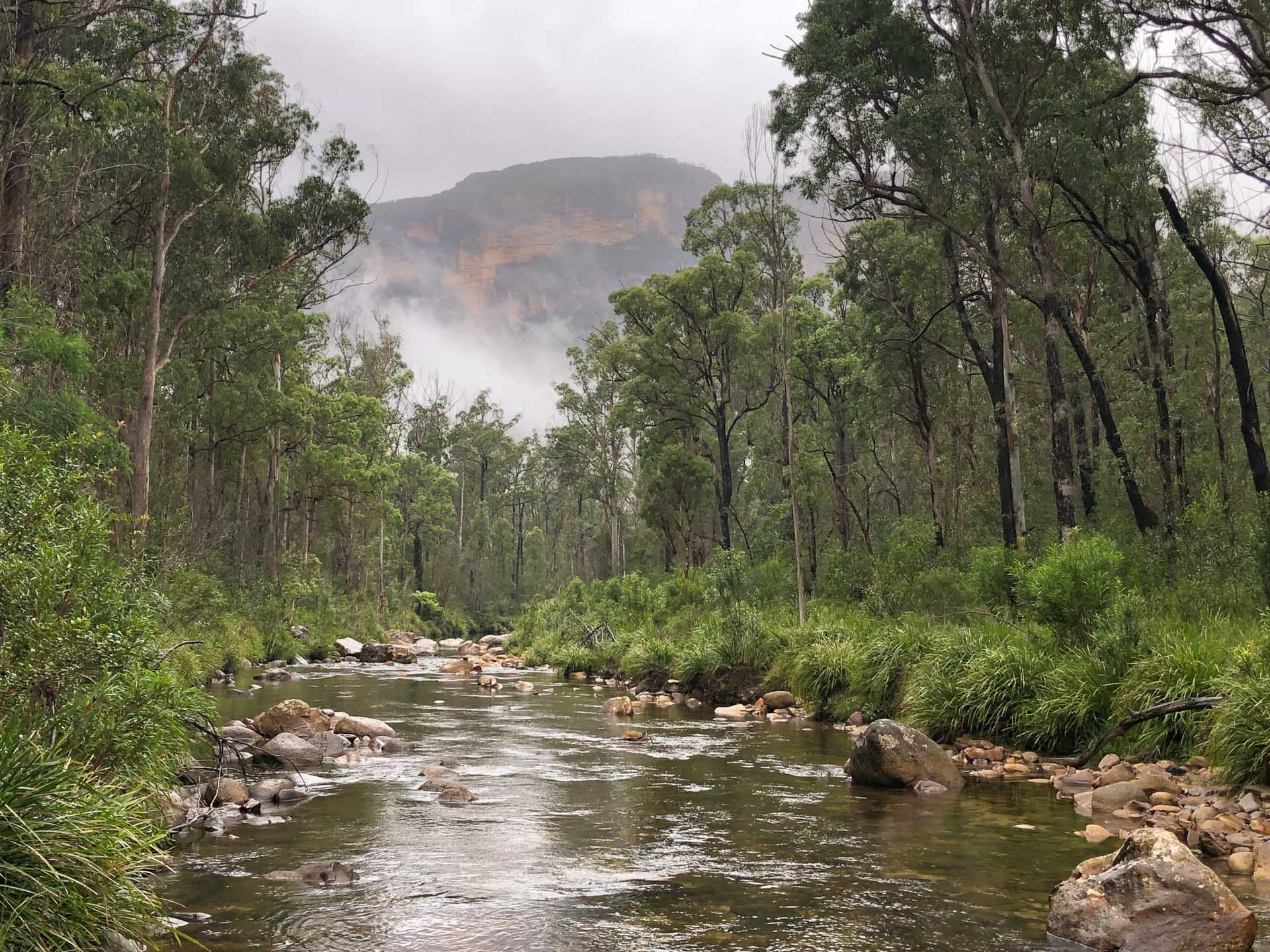 Perrys Lookdown to Acacia Flat Campground – An Overnight Hike-In Camp, Helen Johnston, river with view of mountains, blue mountains