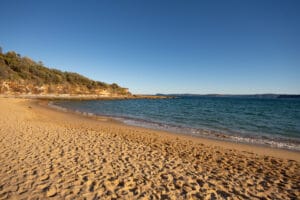 Bouddi - Putty beach