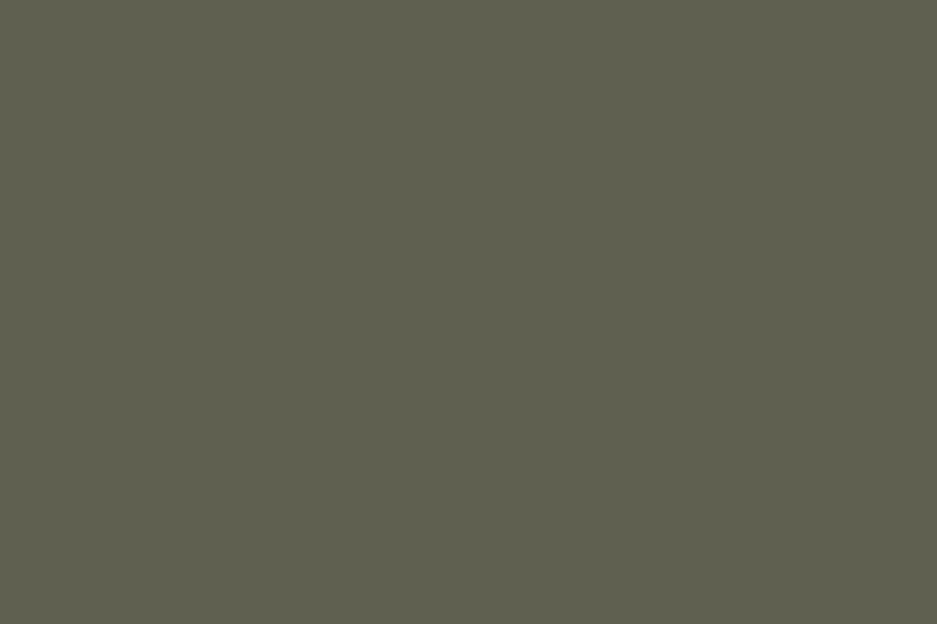 Putty Beach Camp