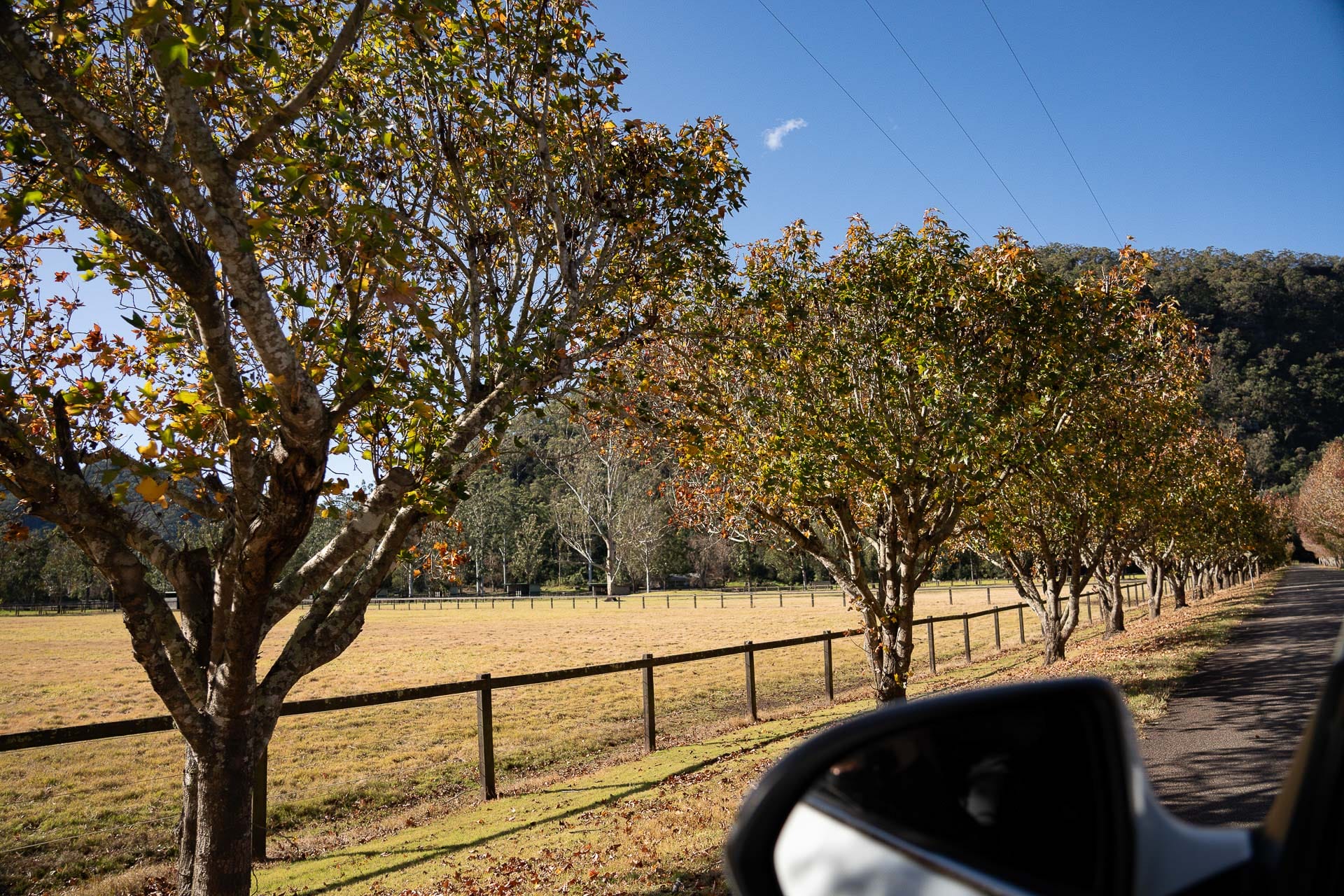 Central Coast roadtrip