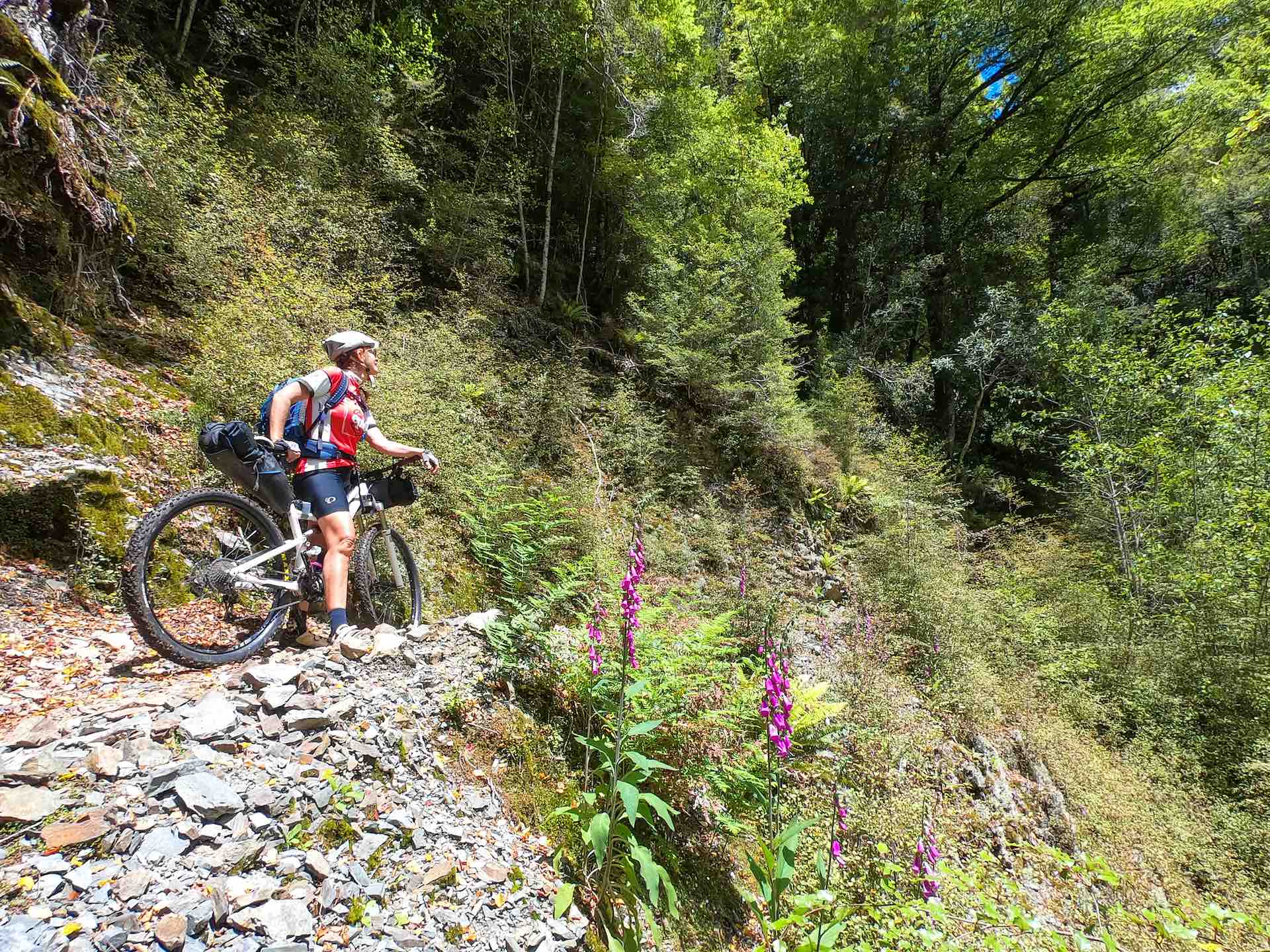 The Old Ghost Road – Aotearoa New Zealand’s Best Multi-Day Mountain Bike Ride, NAS Adventures, New Zealand, South Island, Mountain Biking