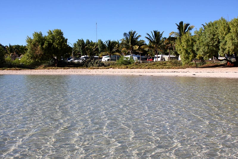 The Ultimate Guide to Camping in Exmouth and Surrounds, Jane Pelusey