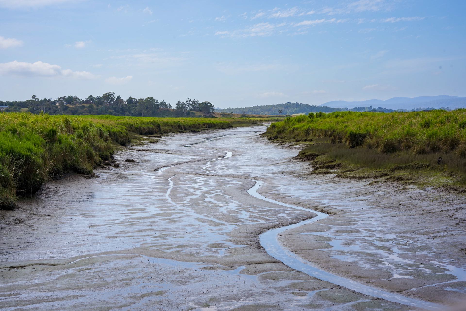 Tamar Island Walk, Steph Cerato, Tasmania, wetlands, island, river
