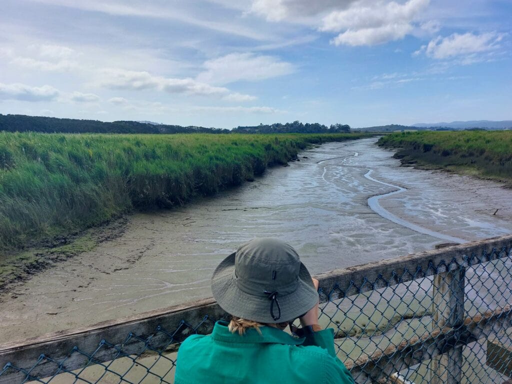 Tamar Island Walk, Steph Cerato, Tasmania, wetlands, island, river, hat, birdwatching