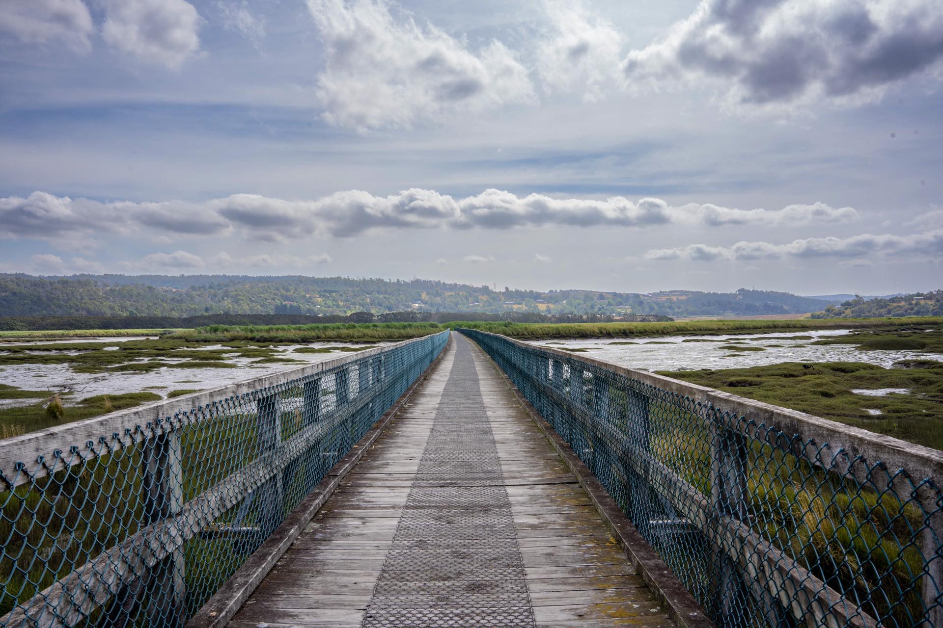 Tamar Island Walk, Steph Cerato, Tasmania, wetlands, island, river, boardwalk