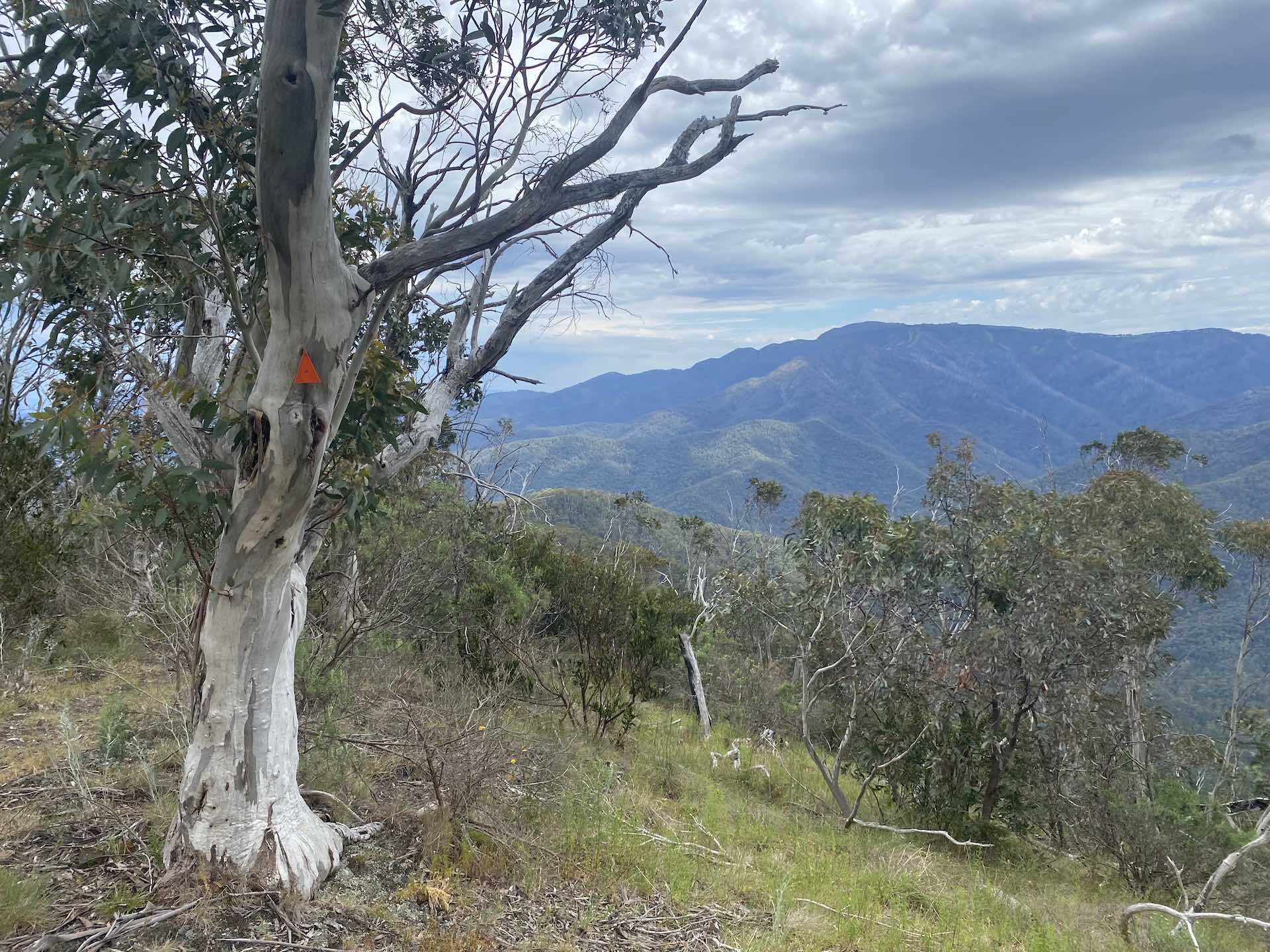 Buller Huts Trail – A Multi-Day Hike Through the Best of Victoria’s High Country. Reanna Clark. Mt Bulla, Victoria, Hiking, Alpine trail, Mountains