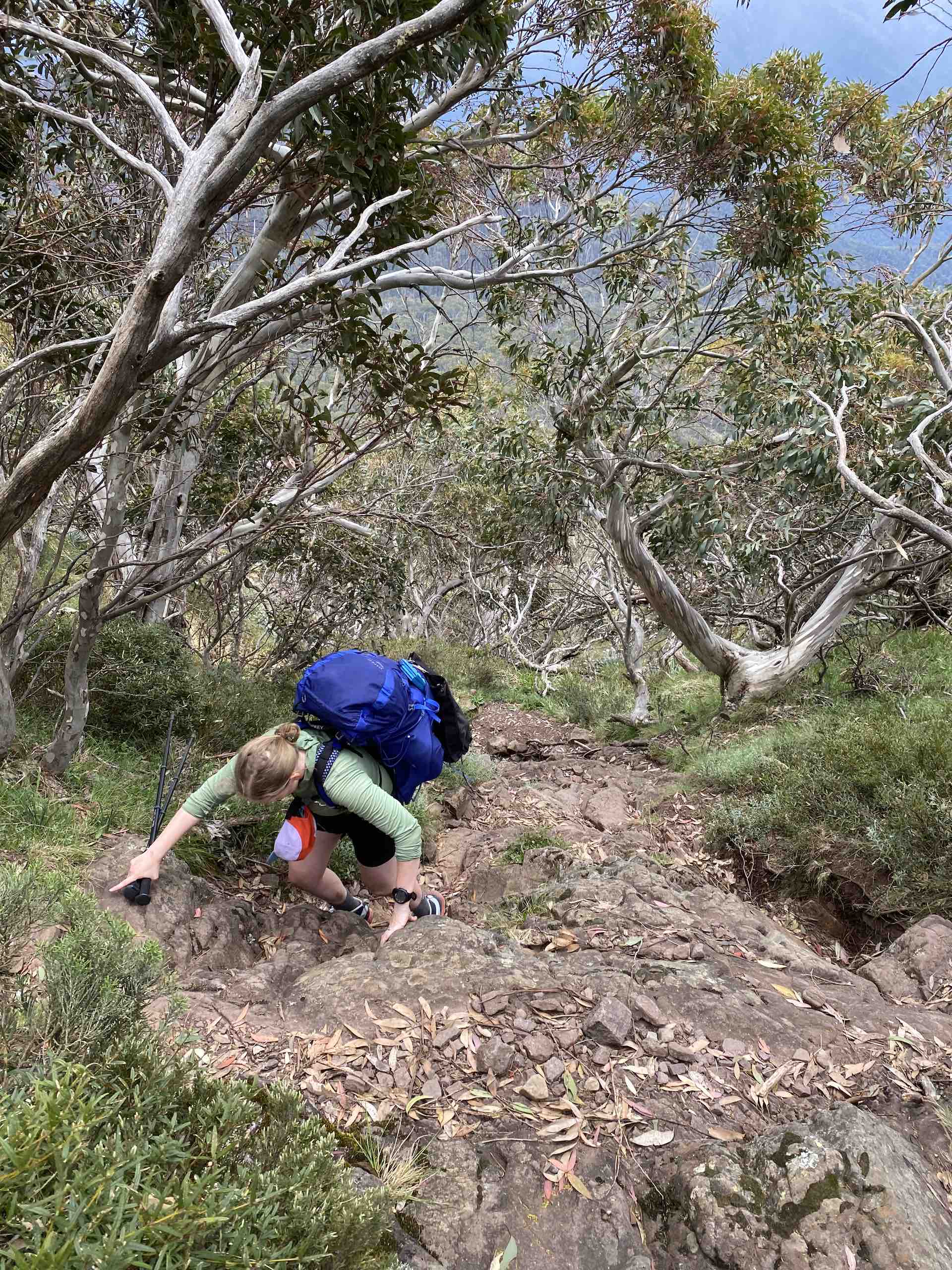 Buller Huts Trail – A Multi-Day Hike Through the Best of Victoria’s High Country. Reanna Clark. Mt Bulla, Victoria, Hiking, Alpine trail, Mountains