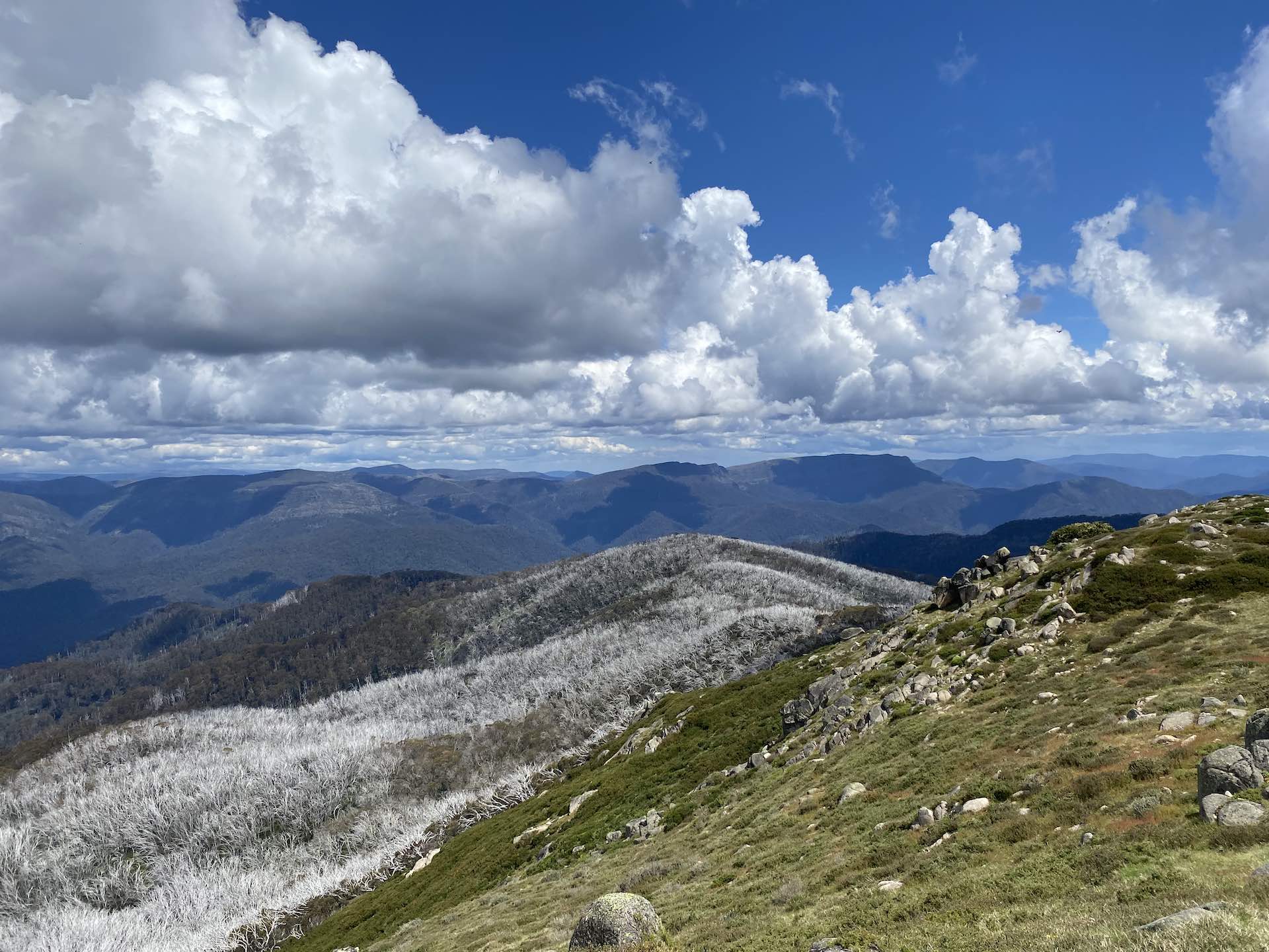 Buller Huts Trail – A Multi-Day Hike Through the Best of Victoria’s High Country. Reanna Clark. Mt Bulla, Victoria, Hiking, Alpine trail, Mountains