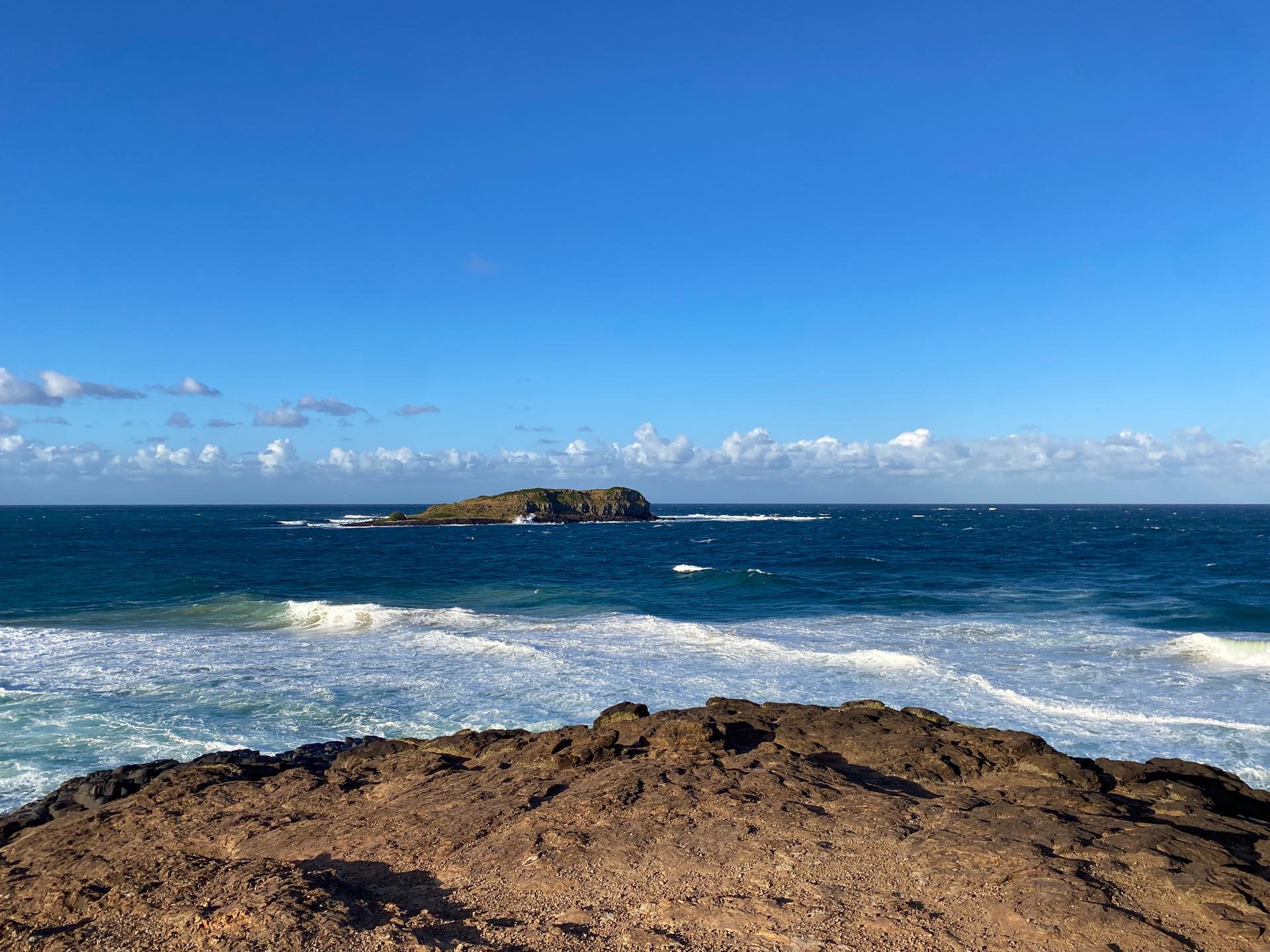 Getting to Know Bundjalung Country, Sarah Tayler, The Tweed, NSW, Cook Island, Jungurra Ngarrian from Pooningbah, Fingal Headland, Resting place of old man pelican