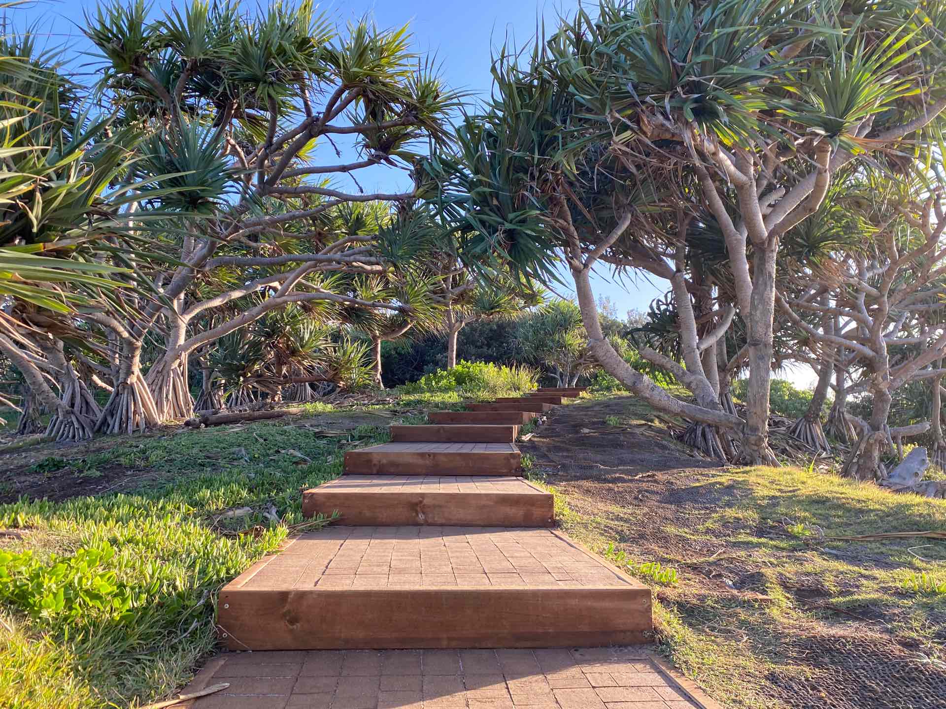 Getting to Know Bundjalung Country, Sarah Tayler, The Tweed, NSW, Final Headland Walk, Steps,