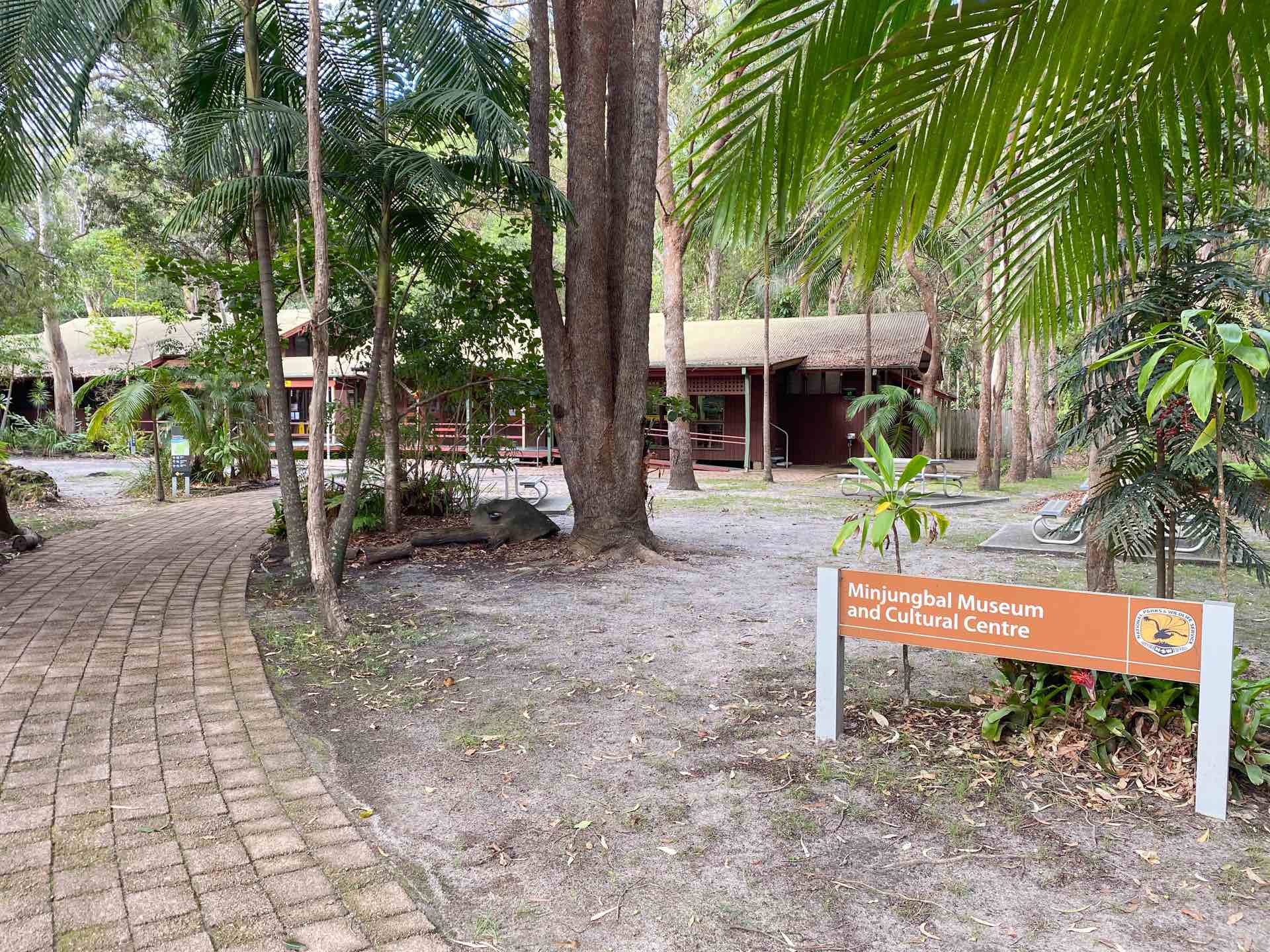 Getting to Know Bundjalung Country, Sarah Tayler, The Tweed, NSW, Tweed Heads Historic Site, Forest