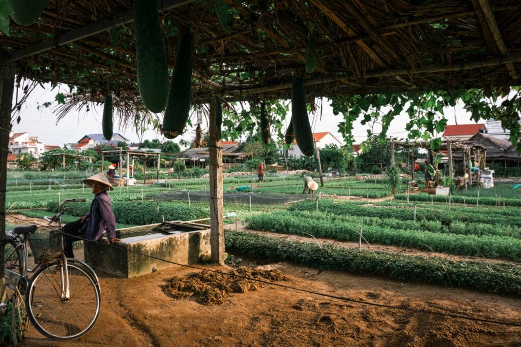 A Beginner's Guide to Adventures in Vietnam, Chagi Weerasana, G Adventures, rice paddy, farmer, hut