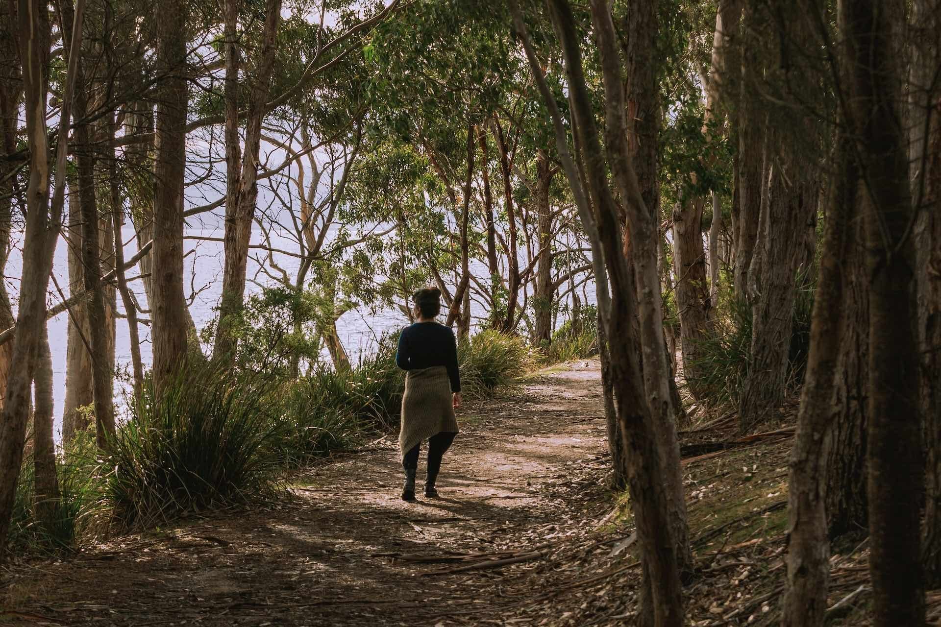 Fluted Cape Walk – A Dramatic Day Hike on Tassie’s Bruny Island, Lipei Teoh, Tasmania, hiking, female walking, dappled light, light through trees,