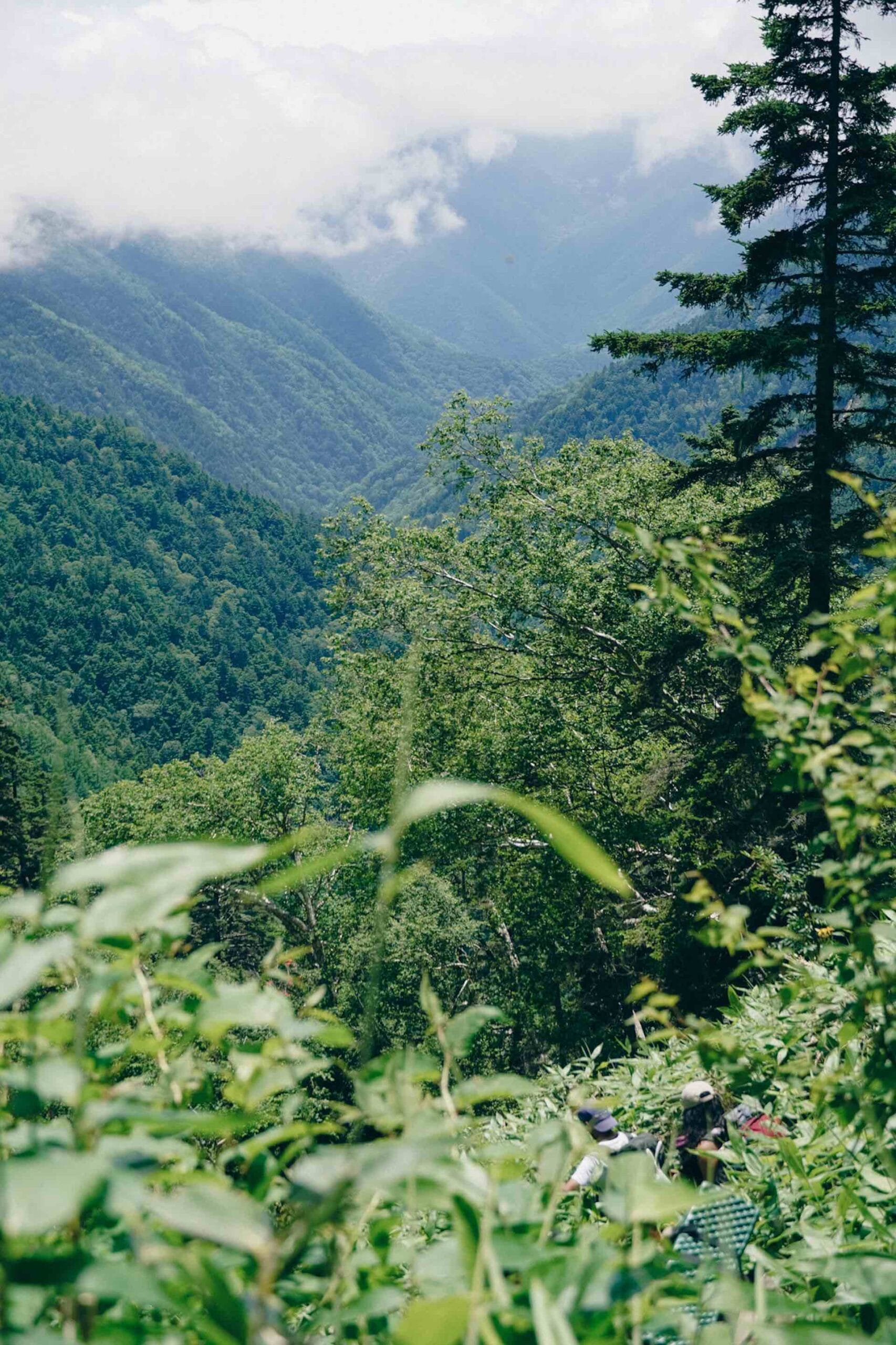 Nagano – A Guide to the Foothills of the Japan Alps, Lucid, LUC001, Lucy Dayman, Nagano, Japan, mountain, forests, Photo Credit: Dean Aizawa