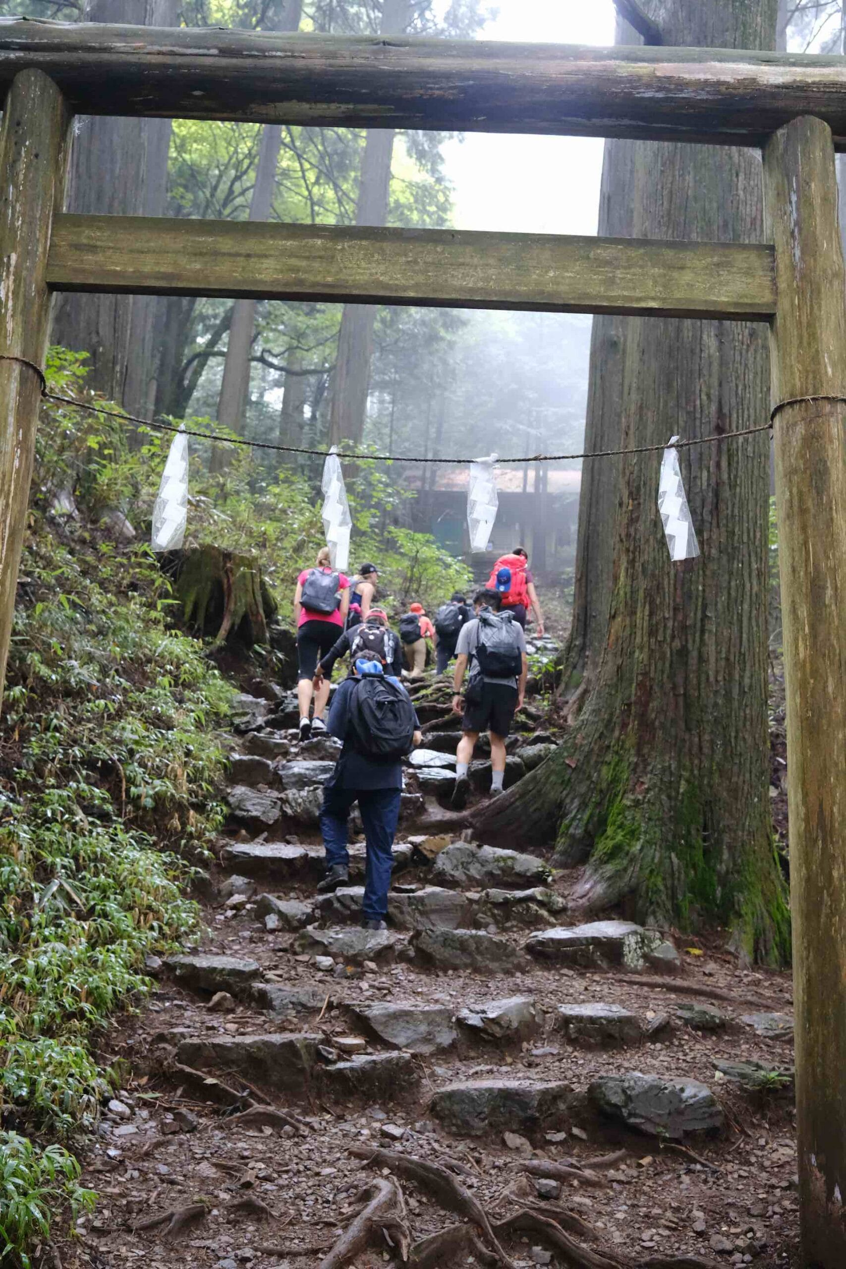 Chichibu-Tama-Kai National Park: 3 Stunning Hikes Near Tokyo, Japan, Lucy Dayman, Lucid, LUC001, Mt Mitake Trekking Course, Photo Credit @deanaizawa, group of hikers, hiking uphill, archway