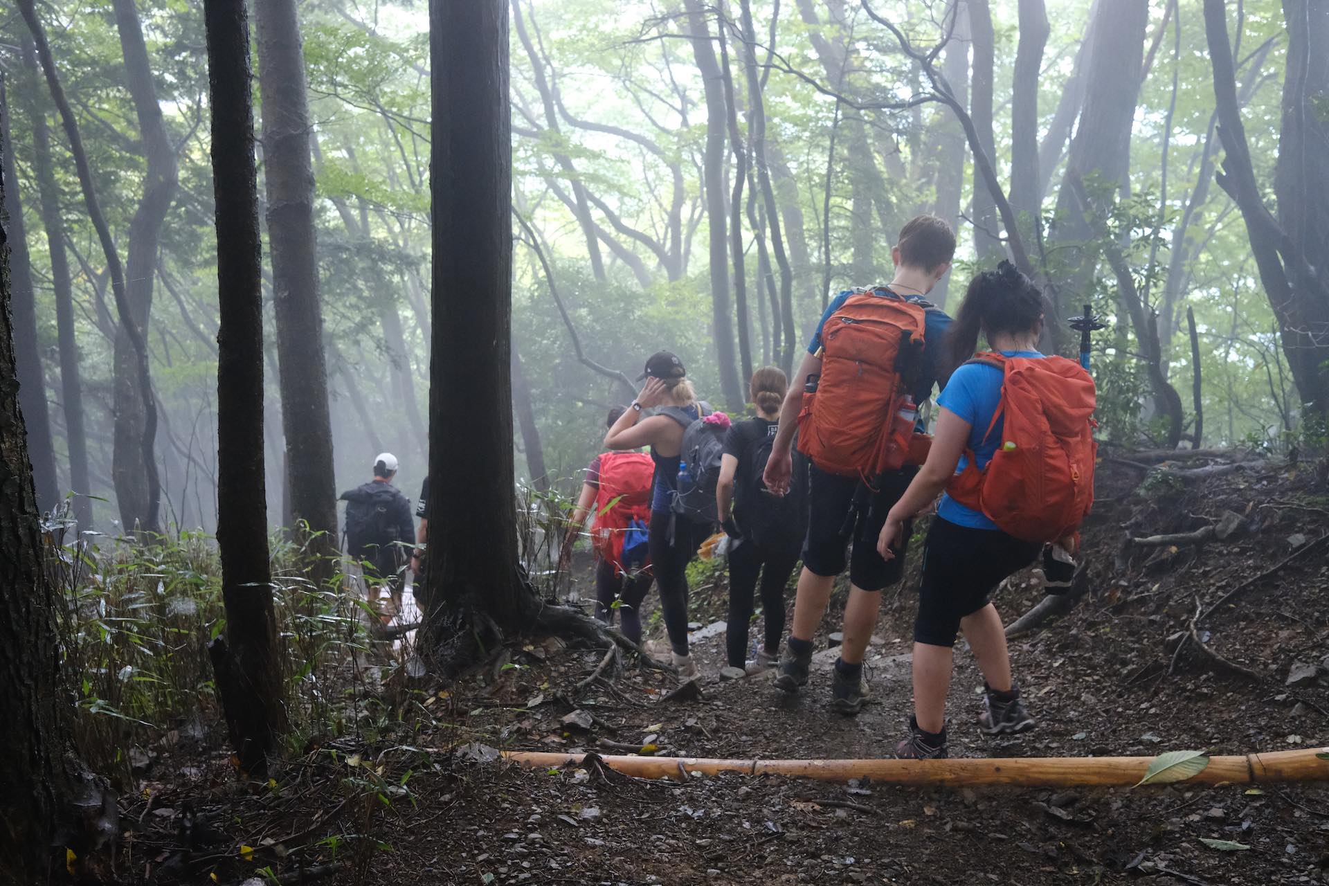 Chichibu-Tama-Kai National Park: 3 Stunning Hikes Near Tokyo, Japan, Lucy Dayman, Lucid, LUC001, Mt Mitake Trekking Course, Photo Credit @deanaizawa, group of hikers, hiking with friends, hiking, backpacks, hiking downhill, forest
