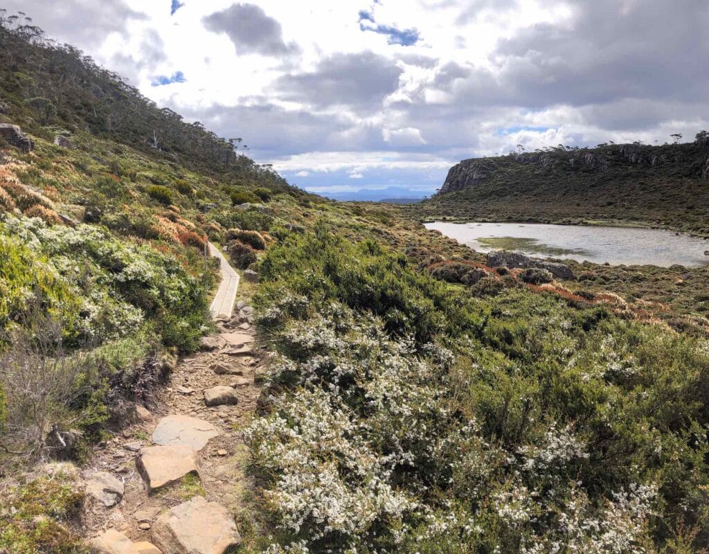 Choose Your Own Adventure in Tasmania’s Walls of Jerusalem National Park, Taylor Dal Ponte, stone path, alpine lakes, mountain vegetation