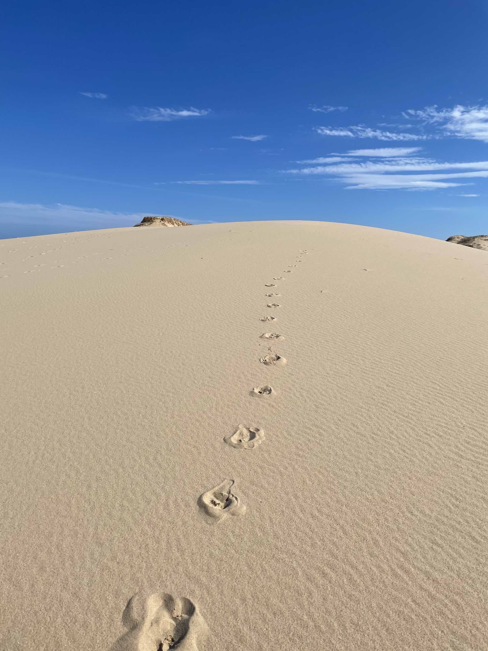 Marley Beach — Rolling Sand Dunes Close to Sydney, Frances Magiera, Sydney, NSW, sand dune, sun and sand