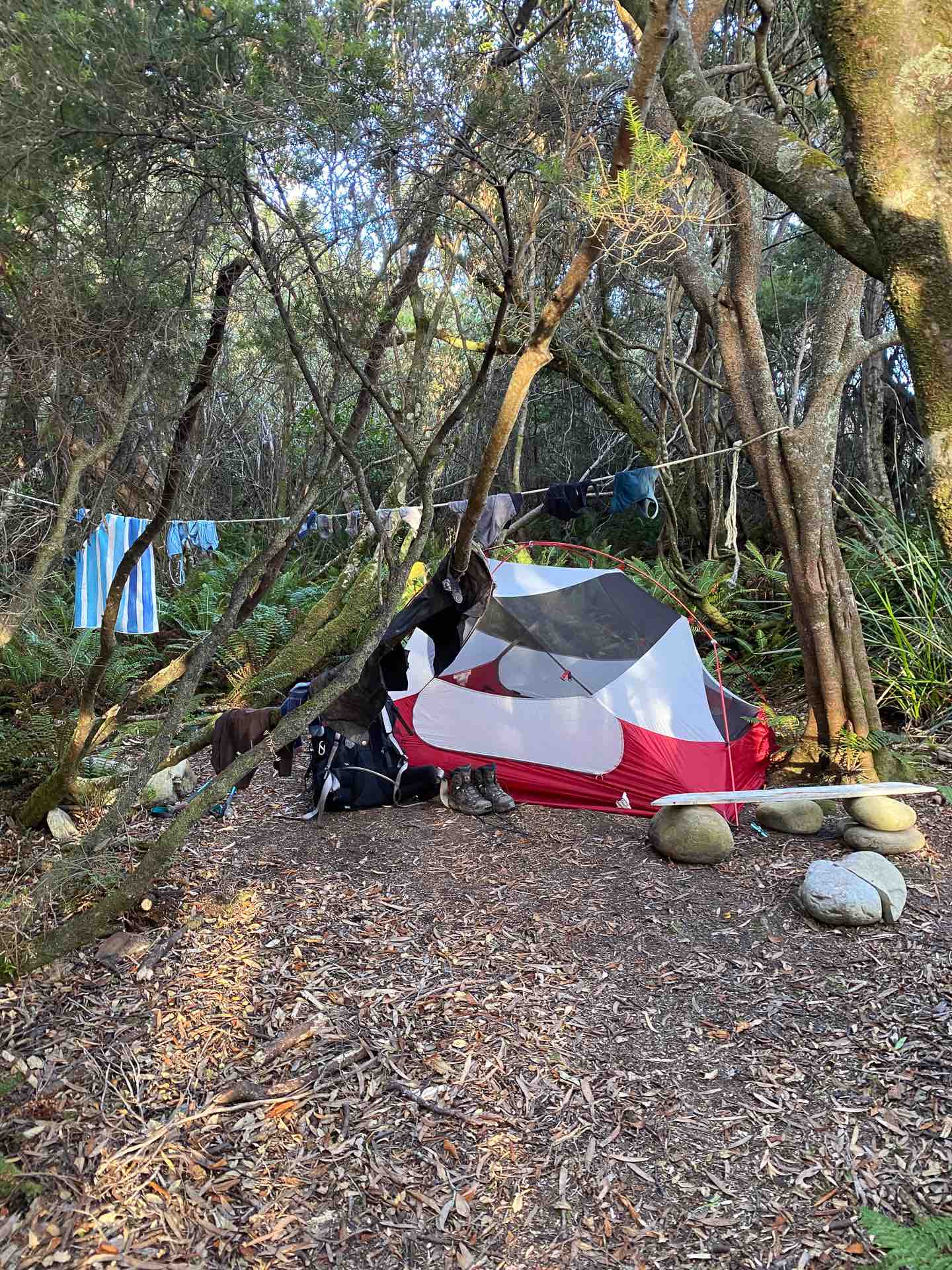 South Coast Track – 5 Days Hiking in Tassie’s Remote Southwest National Park, Alissa Ward, Tasmania, Hiking tent, campsite
