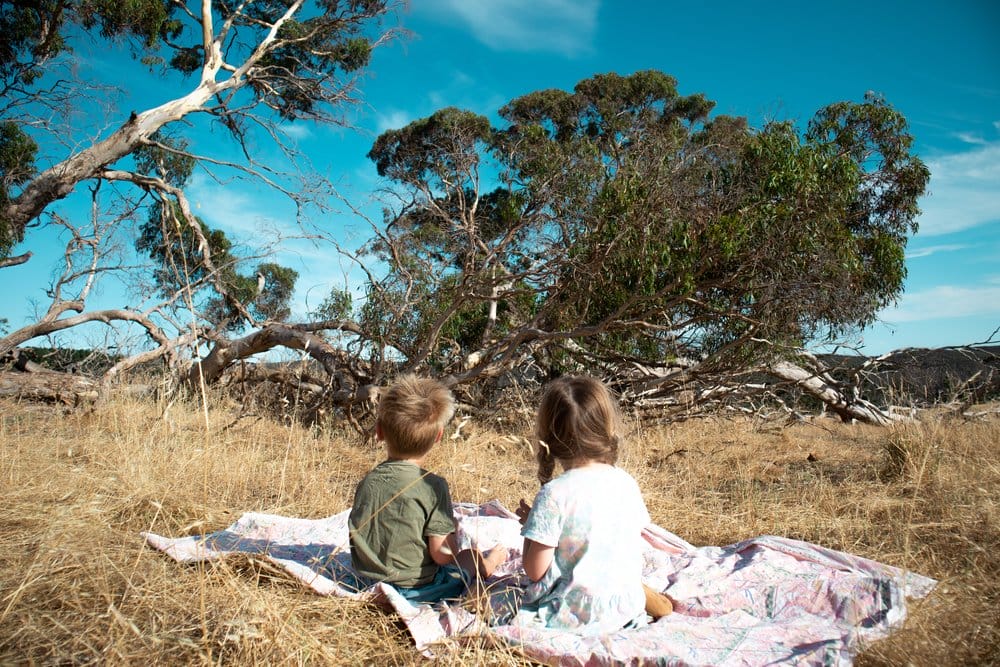 This Family Sold Everything to Live Life on the Road – We Are Explorers Podcast Ep 12 - One Fine Van Children Sitting In the Bush 