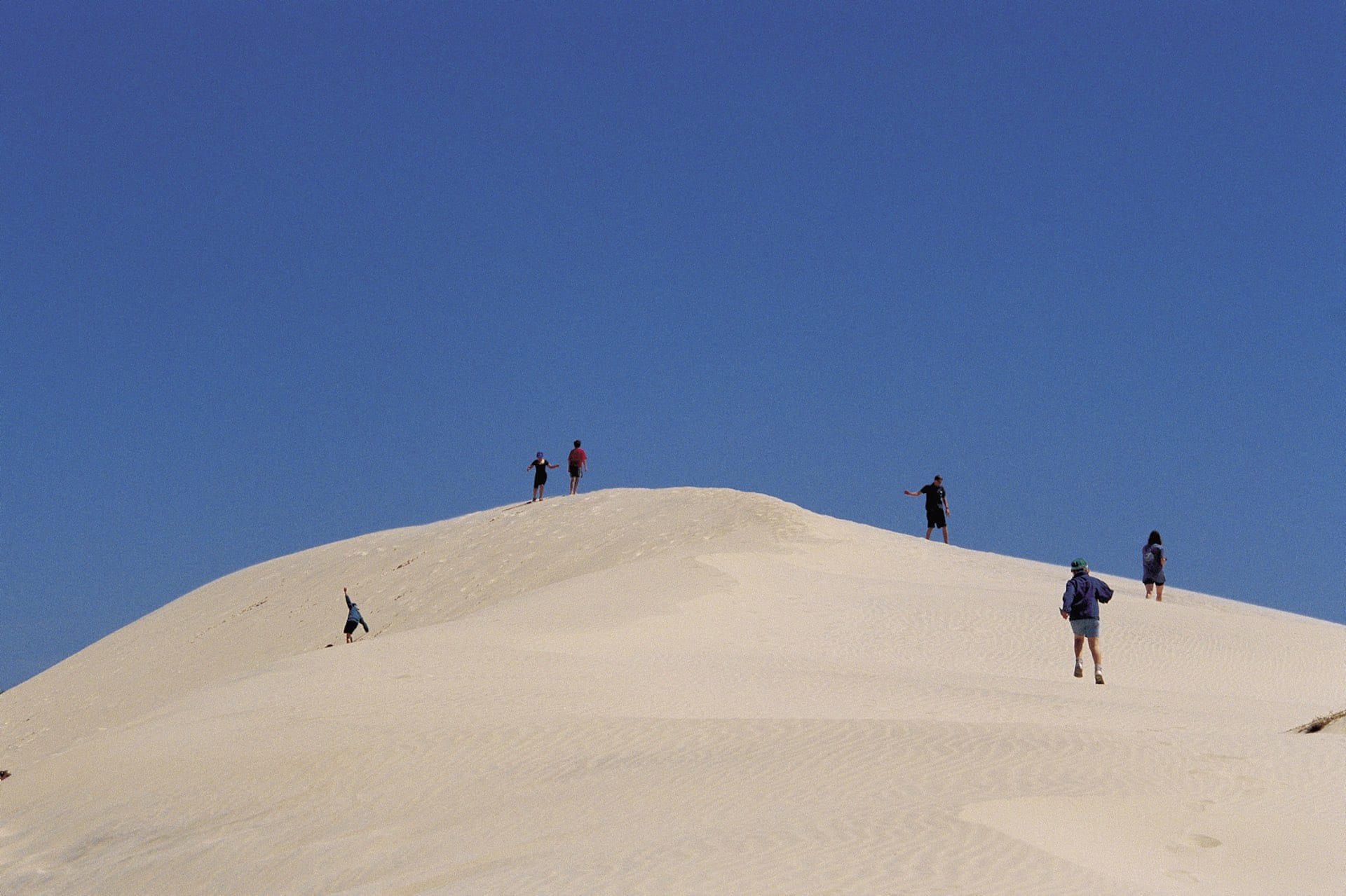10 Best Dog Friendly Campsites in South Australia, Emily Scott, Photo Credit: South Australian Tourism Commission, sand dune, Point Gibbon, SA,