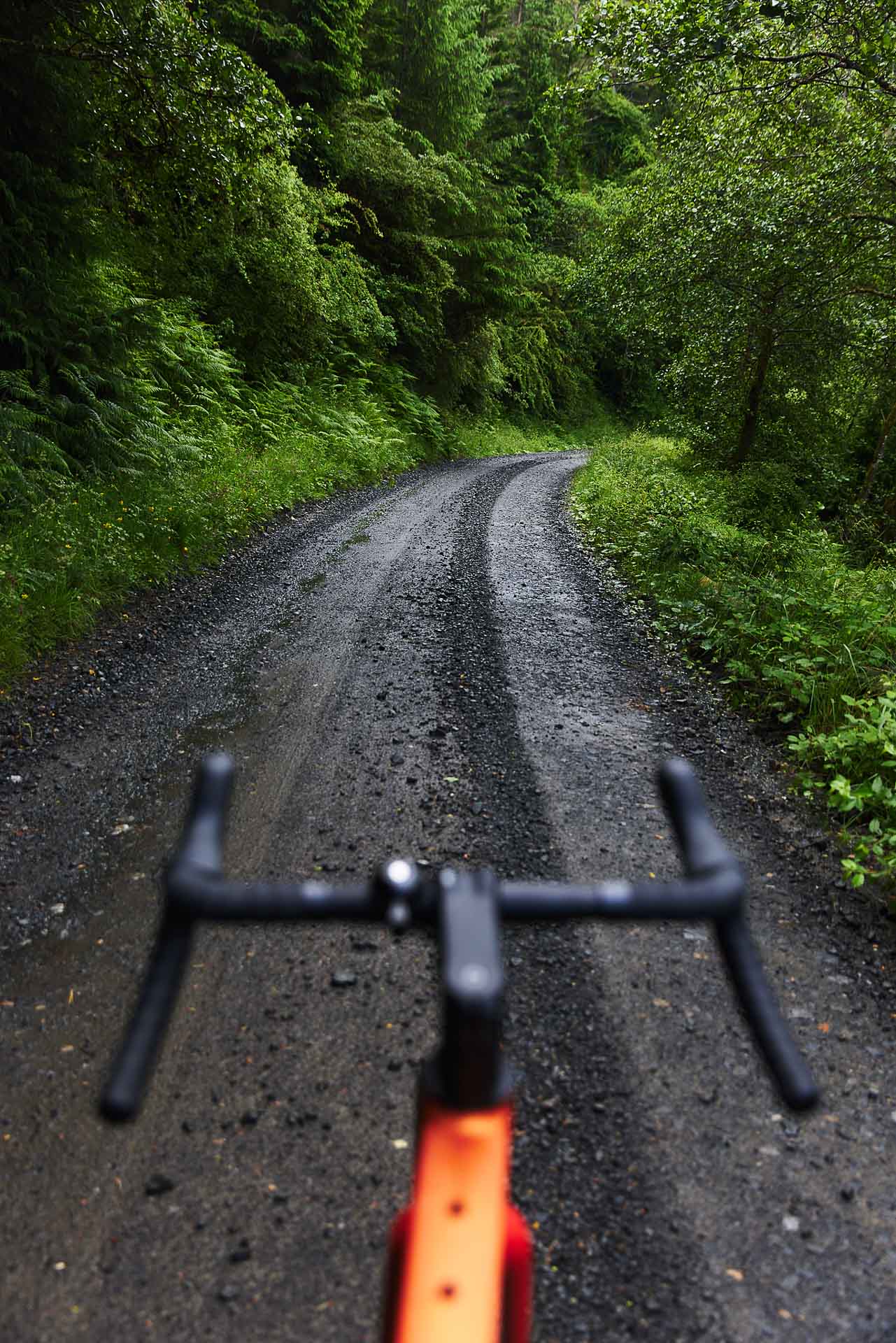 An Adventurer’s Guide to Northumberland, photo by Pat Corden, Northumberland, Visit Britain, England, gravel biking, northumberland national park
