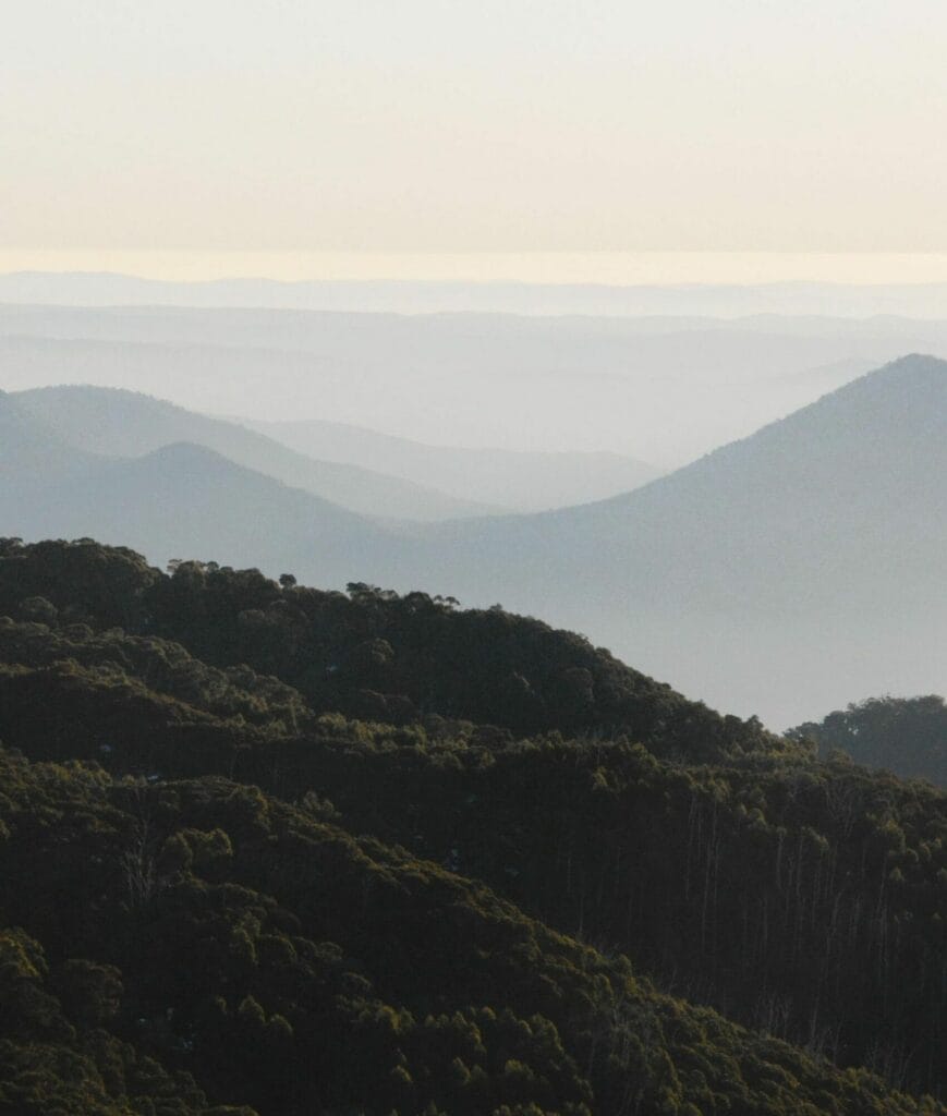 Moving the Mind: Elise Marcianti’s Journey for Mental Health Awareness