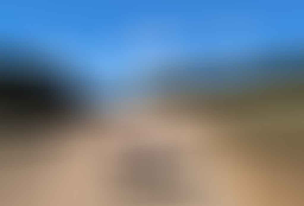 Thirstypacker Threehundo – A Weekend Bikepacking Loop From Canberra, Adam Samuelson, bike, riding, gravel road, plantation, forest
