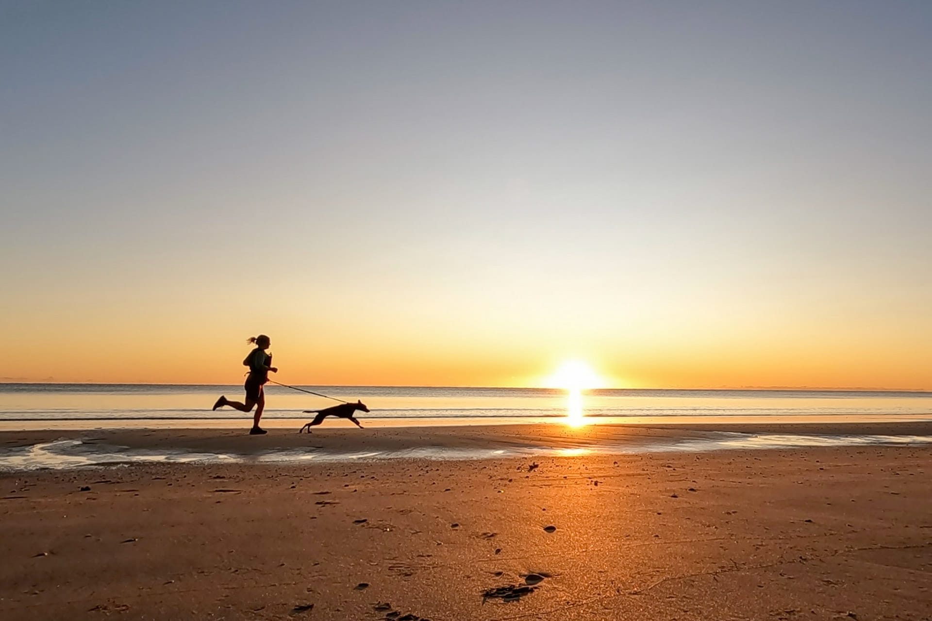 How to Road Trip with a Dog, Sarah Pendergrass, kelpie, van life, sunrise, running, dog run, dog on lead, Australia