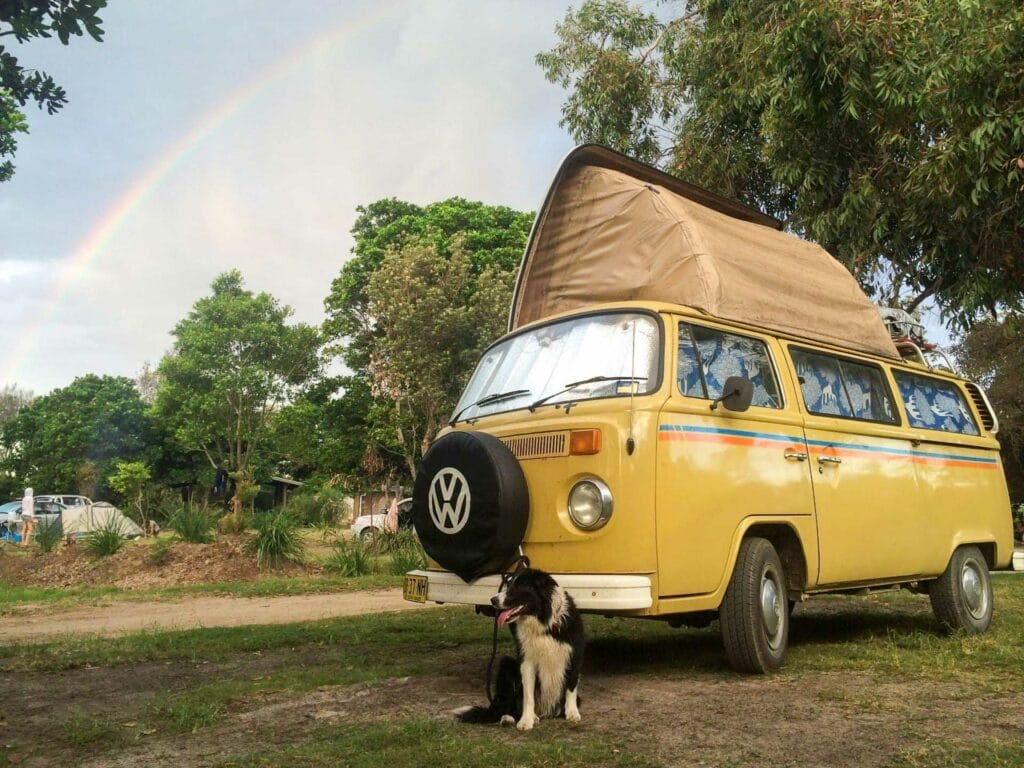 How to Road Trip with a Dog, Sarah Pendergrass, Megs beach, Border Collie, crescent head camping, Australia
