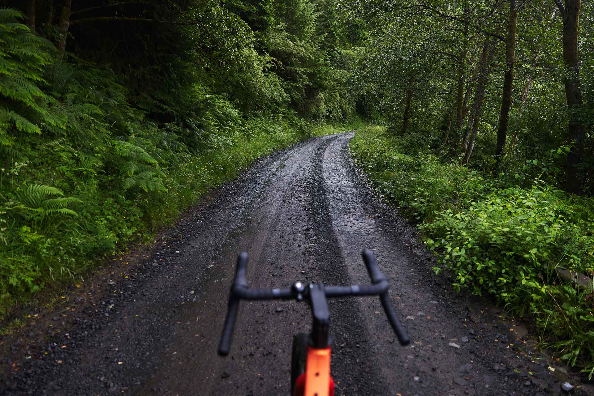 northumberland national park, photo by Pat Corden, Northumberland, Visit Britain, England, bike