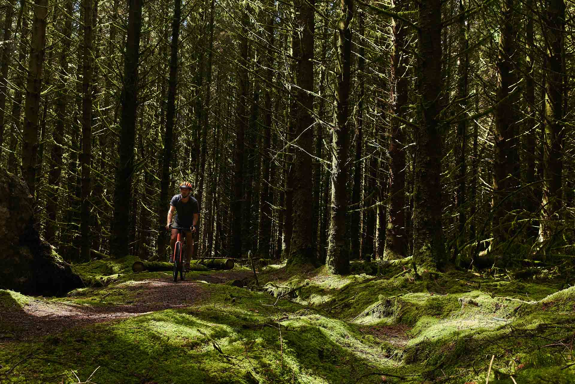 northumberland national park, photo by Pat Corden, Northumberland, Visit Britain, England, bike
