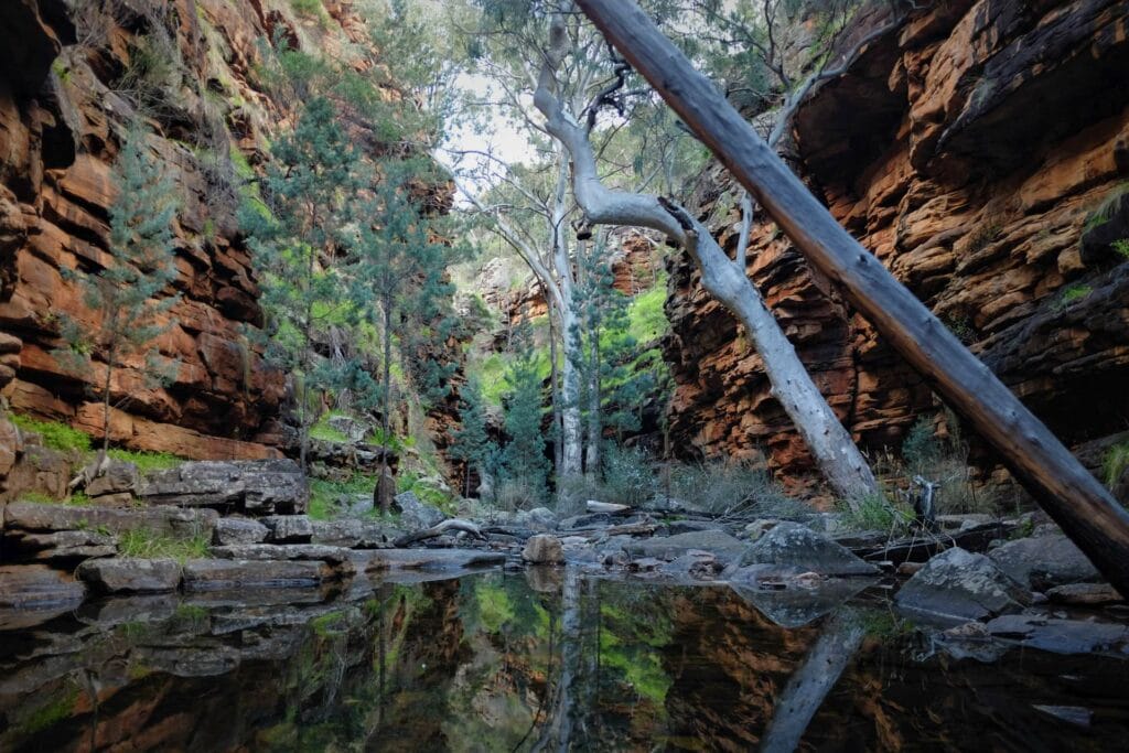 Get Swallowed Up in Alligator Gorge: An Overnight Backpacking Route in South Australia, Taylor Bell, SA, Mount Remarkable National Park, Overnight Hiking, Gorge, water, reflection