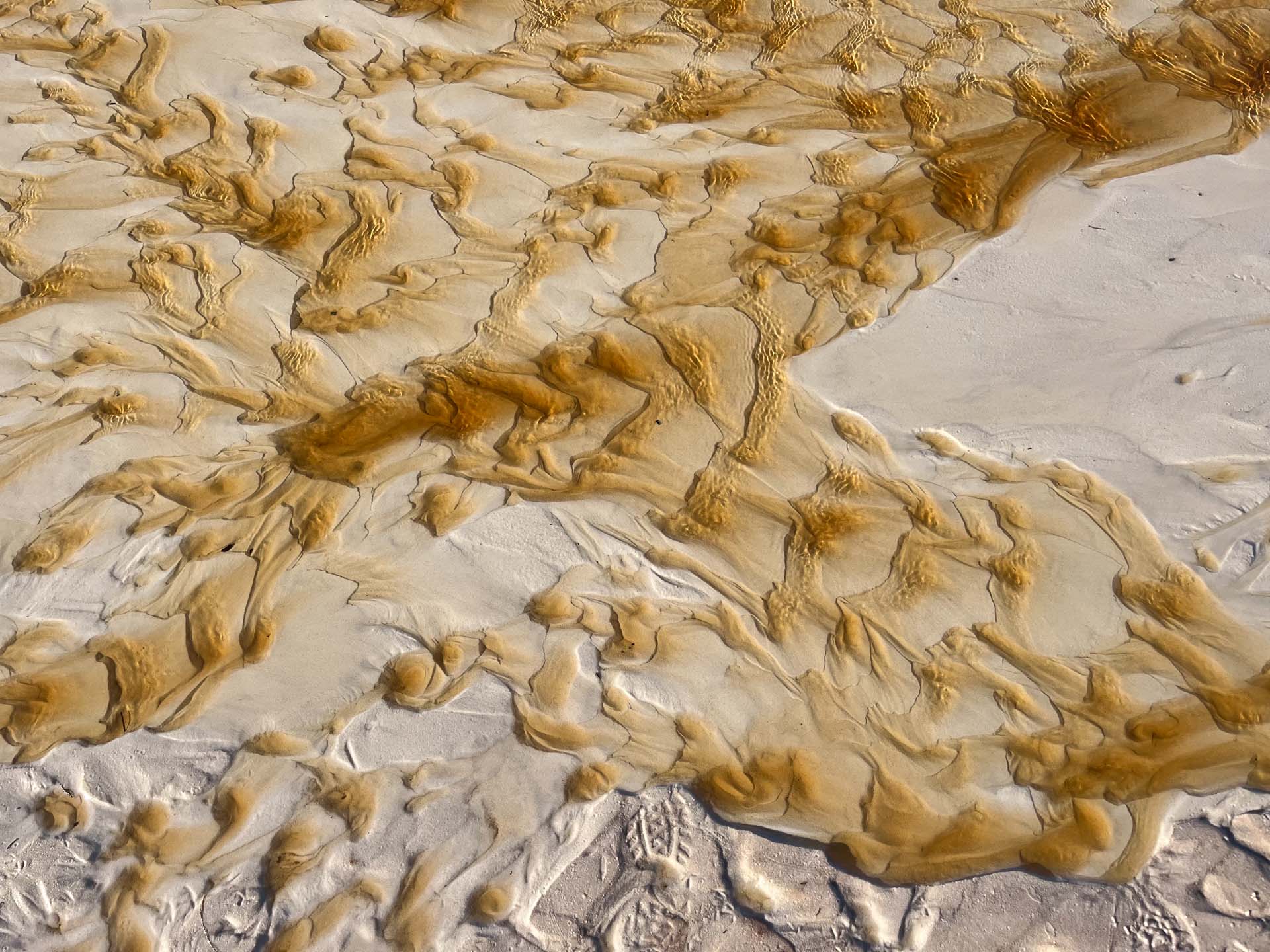 K’gari Great Walk: A 5 Day Walk on the World’s Largest Sand Island, Niamh Curran, Queensland, sand