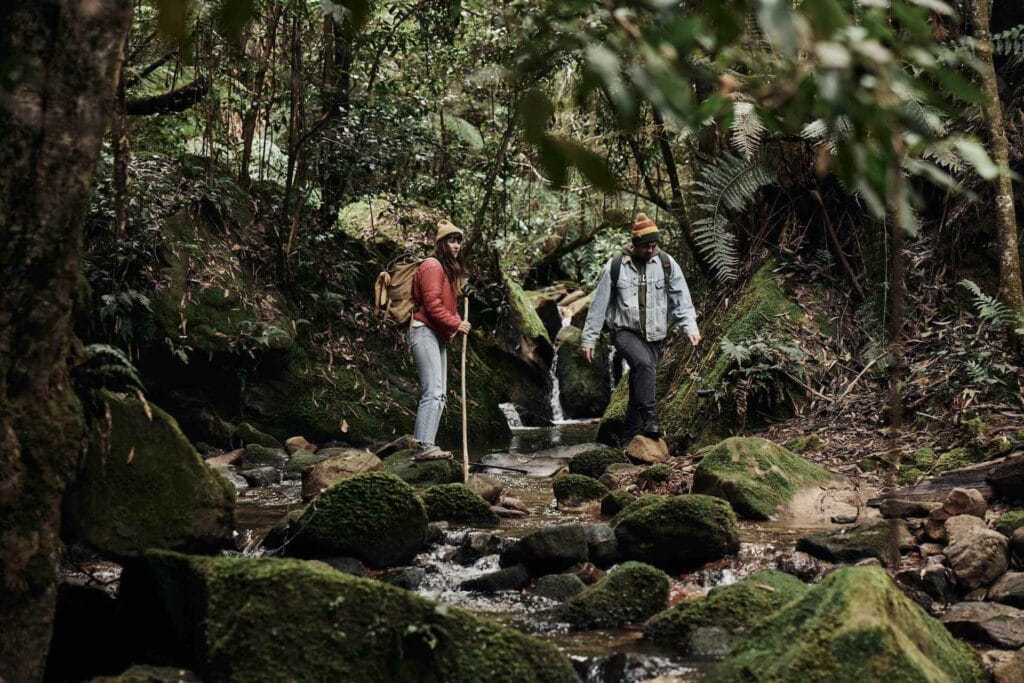 Let's Get Wild for Wilderness - Hiking