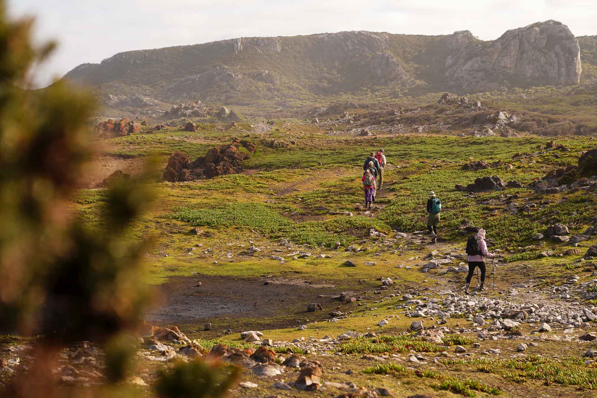 I Spent 5 Days With Strangers Trekking in takayna For Charity, Cathy Young, Mount Donaldson Walk, Tasmania, Shelterbox, Arthur Pieman Conservation Area,