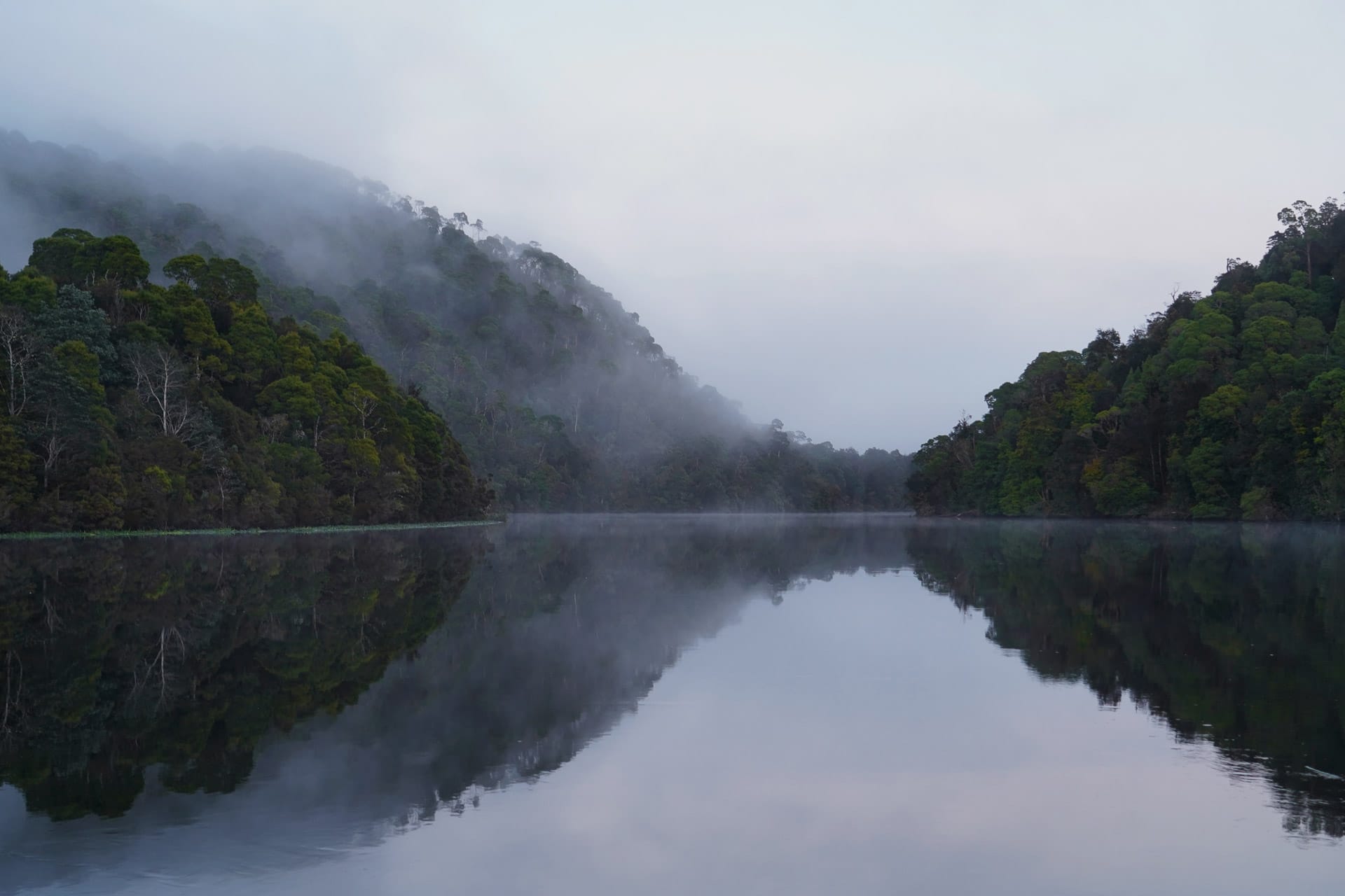 I Spent 5 Days With Strangers Trekking in takayna For Charity, Cathy Young, Mount Donaldson Walk, Tasmania, Shelterbox, Pieman River