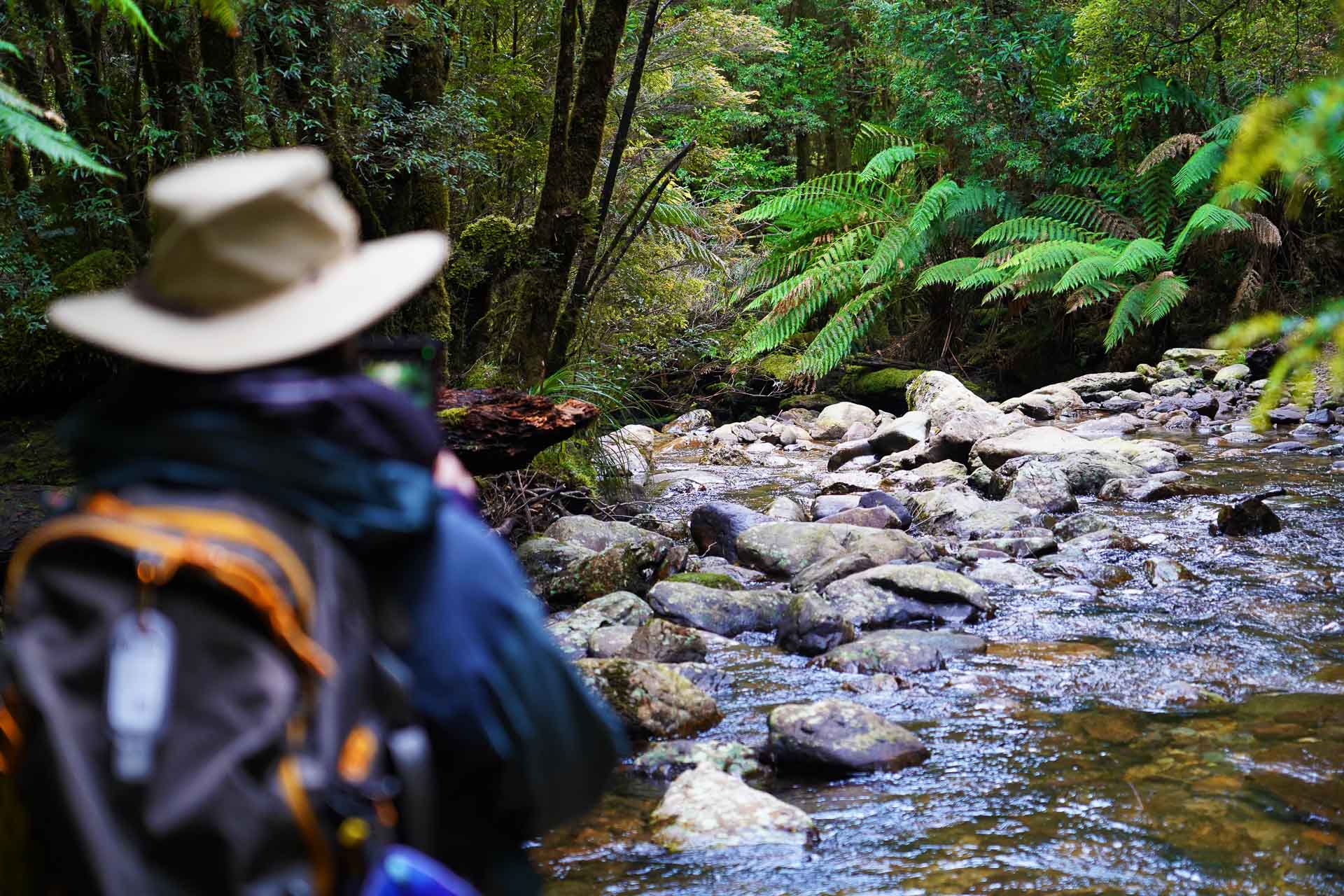 I Spent 5 Days With Strangers Trekking in takayna For Charity, Cathy Young, Mount Donaldson Walk, Tasmania, Shelterbox, Montezuma Falls Walk