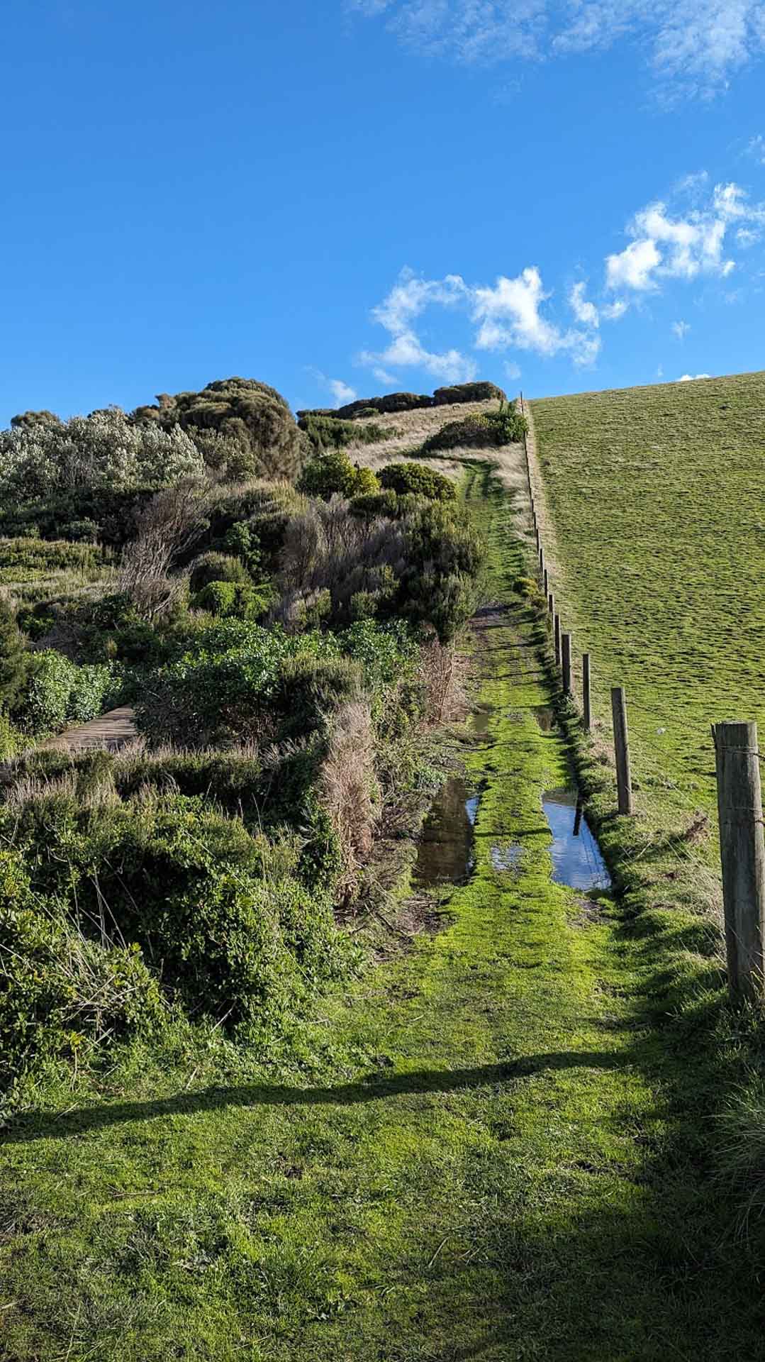South Gippsland's Seaside Gem: The George Bass Coastal Walk, Jess Nehme, South Gippsland, grass, big hill