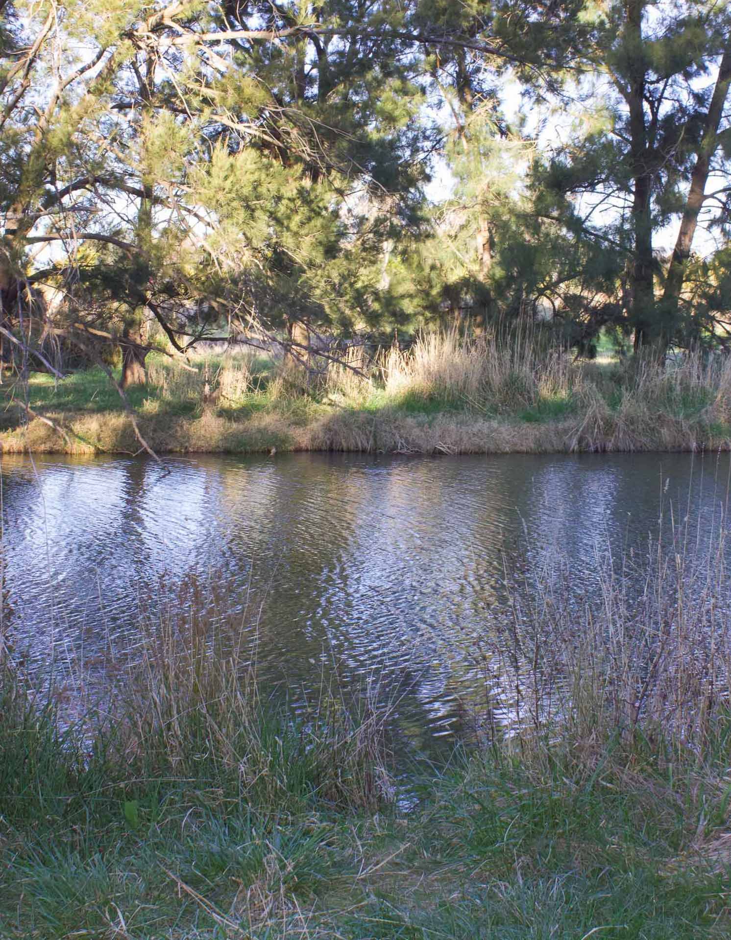 My Secret Way of Sitting in Nature & Still Being Productive