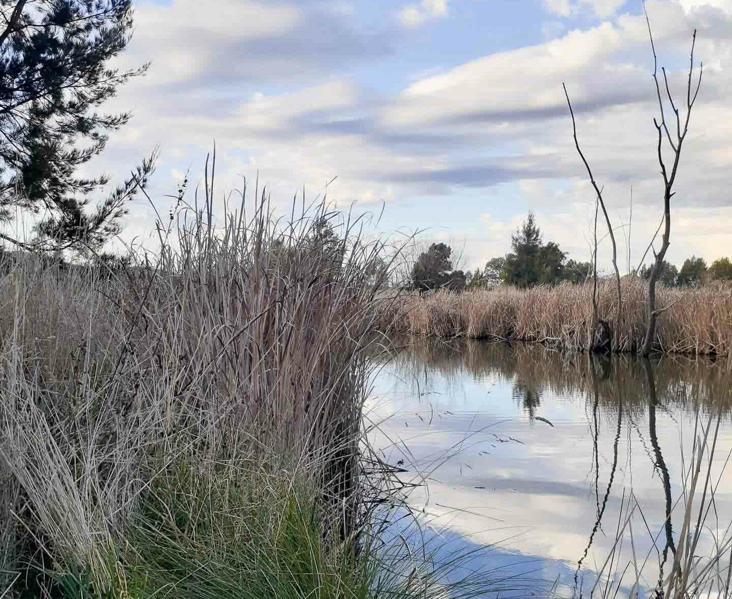 My Secret Way of Sitting in Nature & Still Being Productive