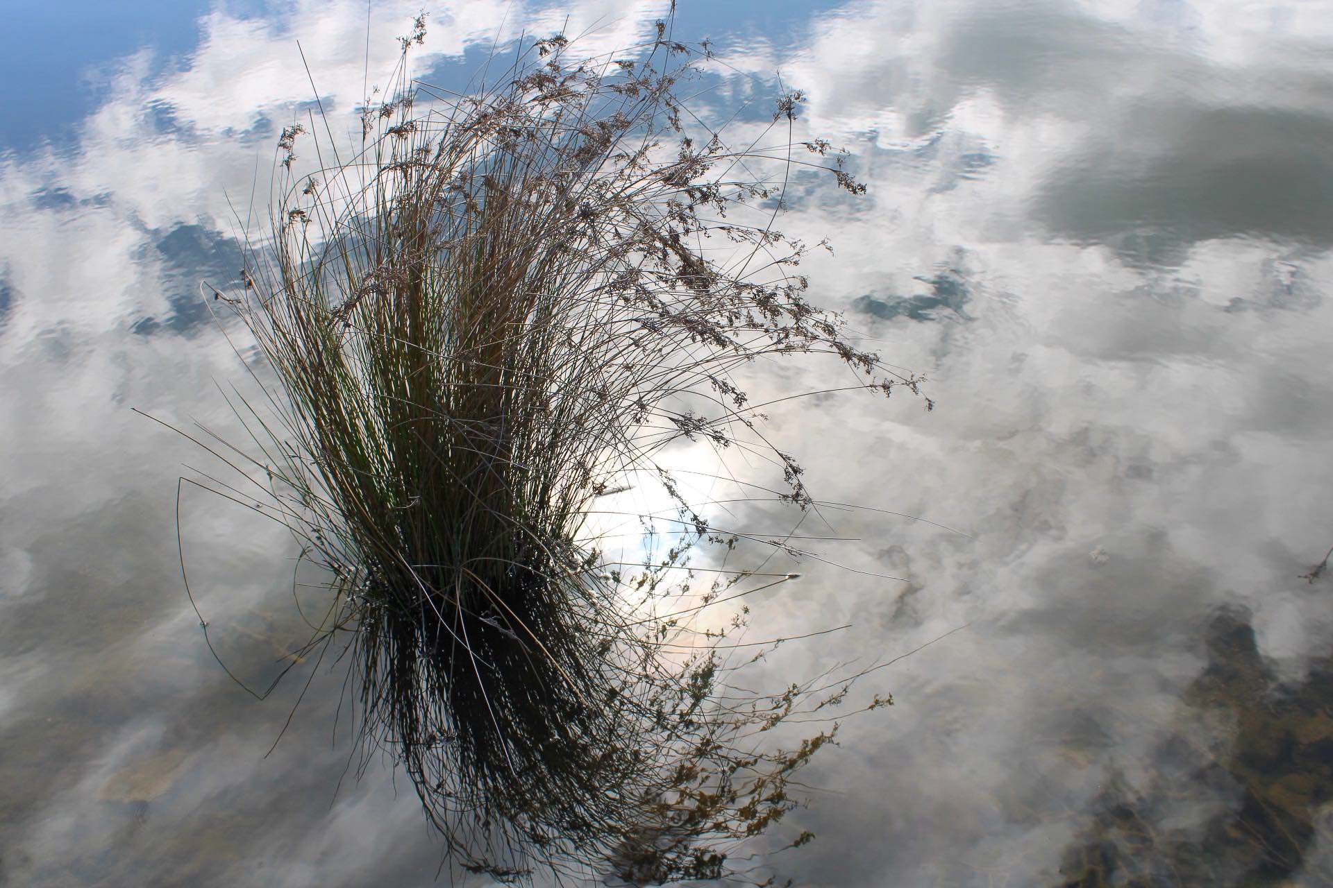 My Secret Way of Sitting in Nature & Still Being Productive