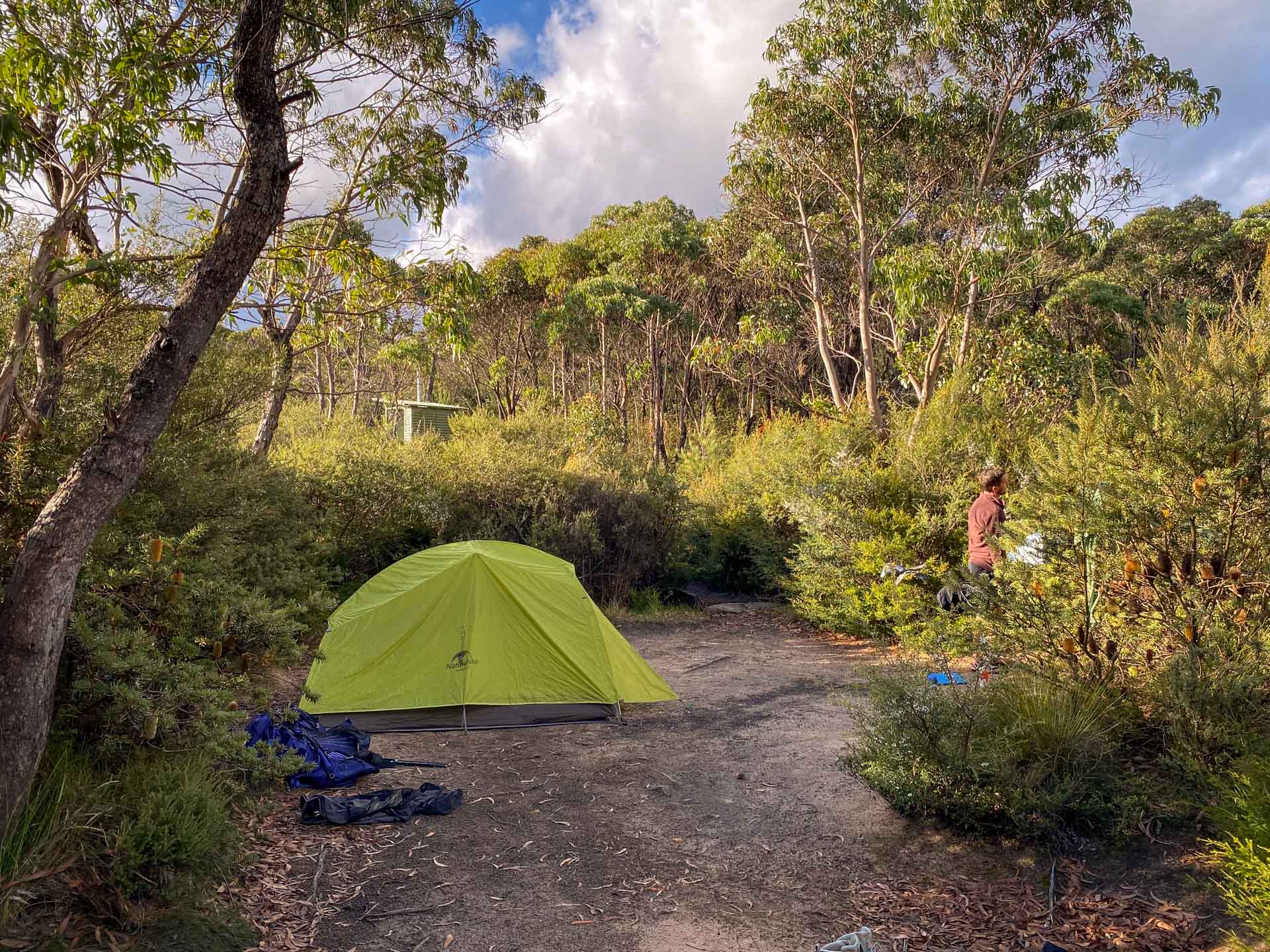 Major Mitchell Plateau – Hike the Best of the Grampians Over 3 Days, Hiking, Multi-Day Hike, Victoria, Tent, Bush Camping, green tent in Victorian bushland