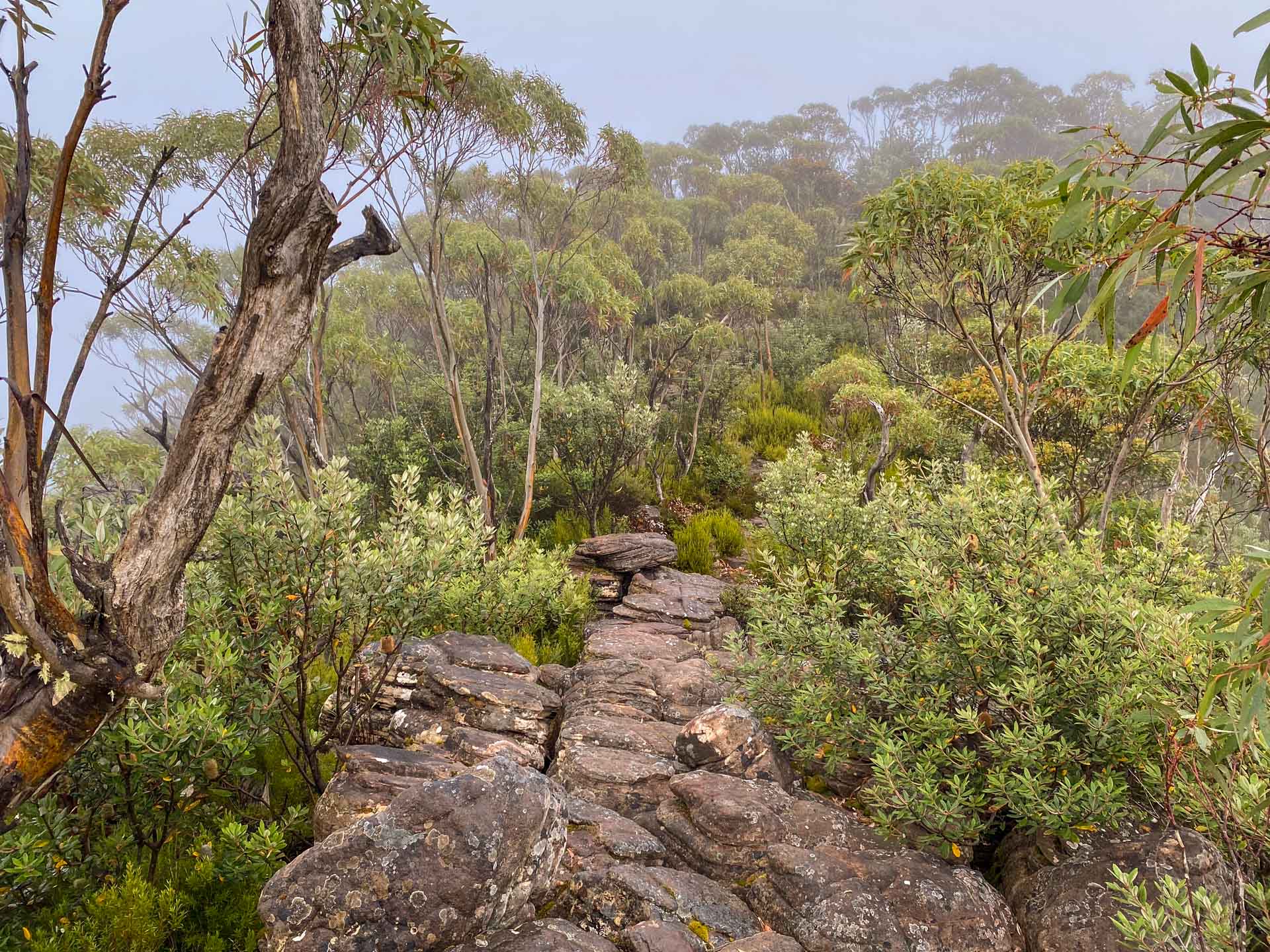 Major Mitchell Plateau – Hike the Best of the Grampians Over 3 Days, Hiking, Multi-Day Hike, Victoria