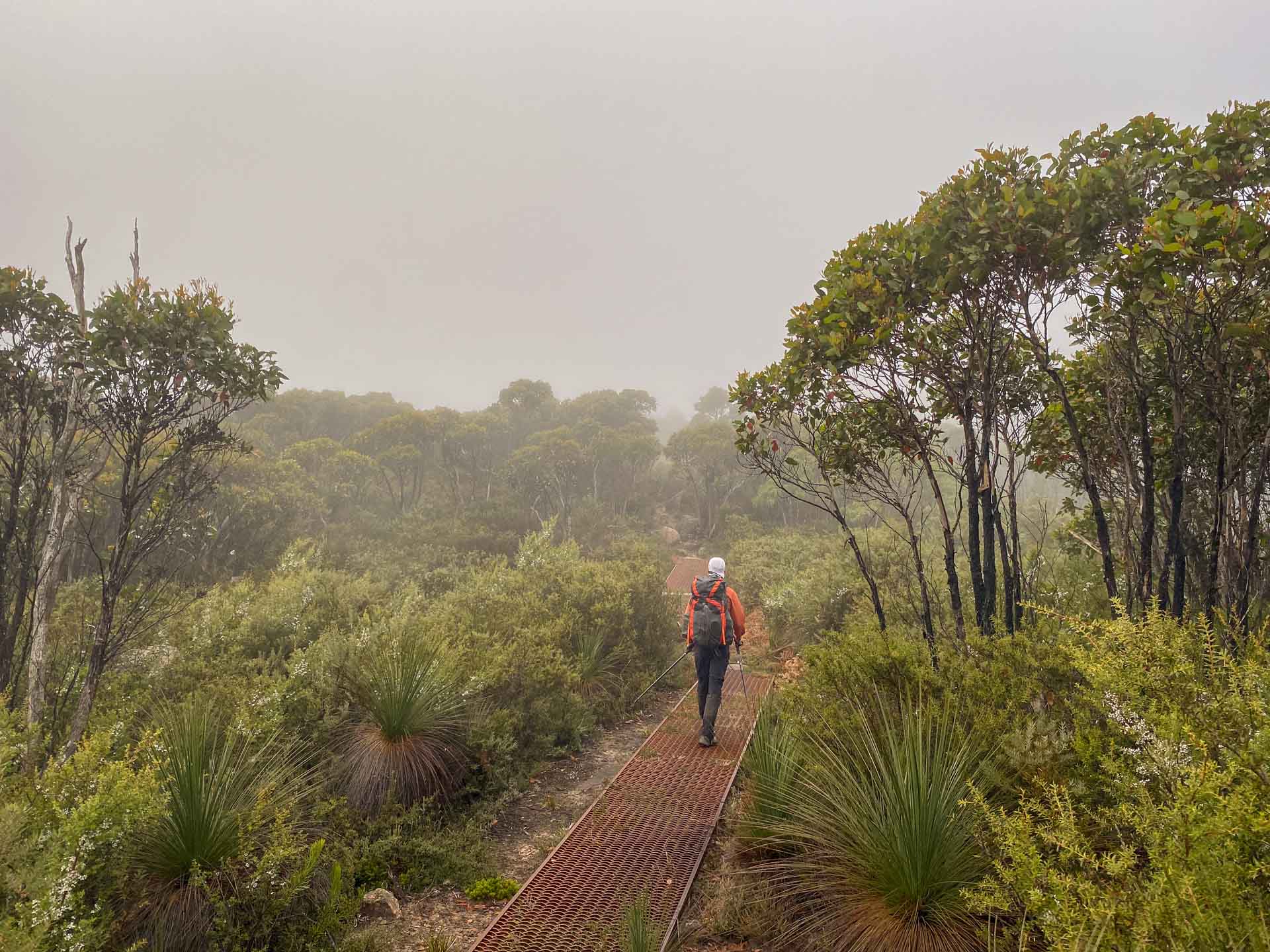 Major Mitchell Plateau – See the Best of the Grampians Over 3 Days, Hiking, Multi-Day Hike, Victoria, hiker walking on the Major Mitchell Plateau trail