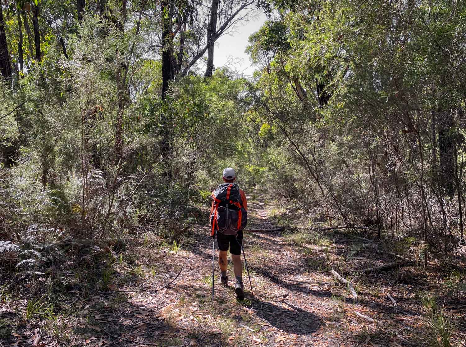 Major Mitchell Plateau – See the Best of the Grampians Over 3 Days, Hiking, Multi-Day Hike, Victoria, hiker with blue backpack walking on the Major Mitchell Plateau trail
