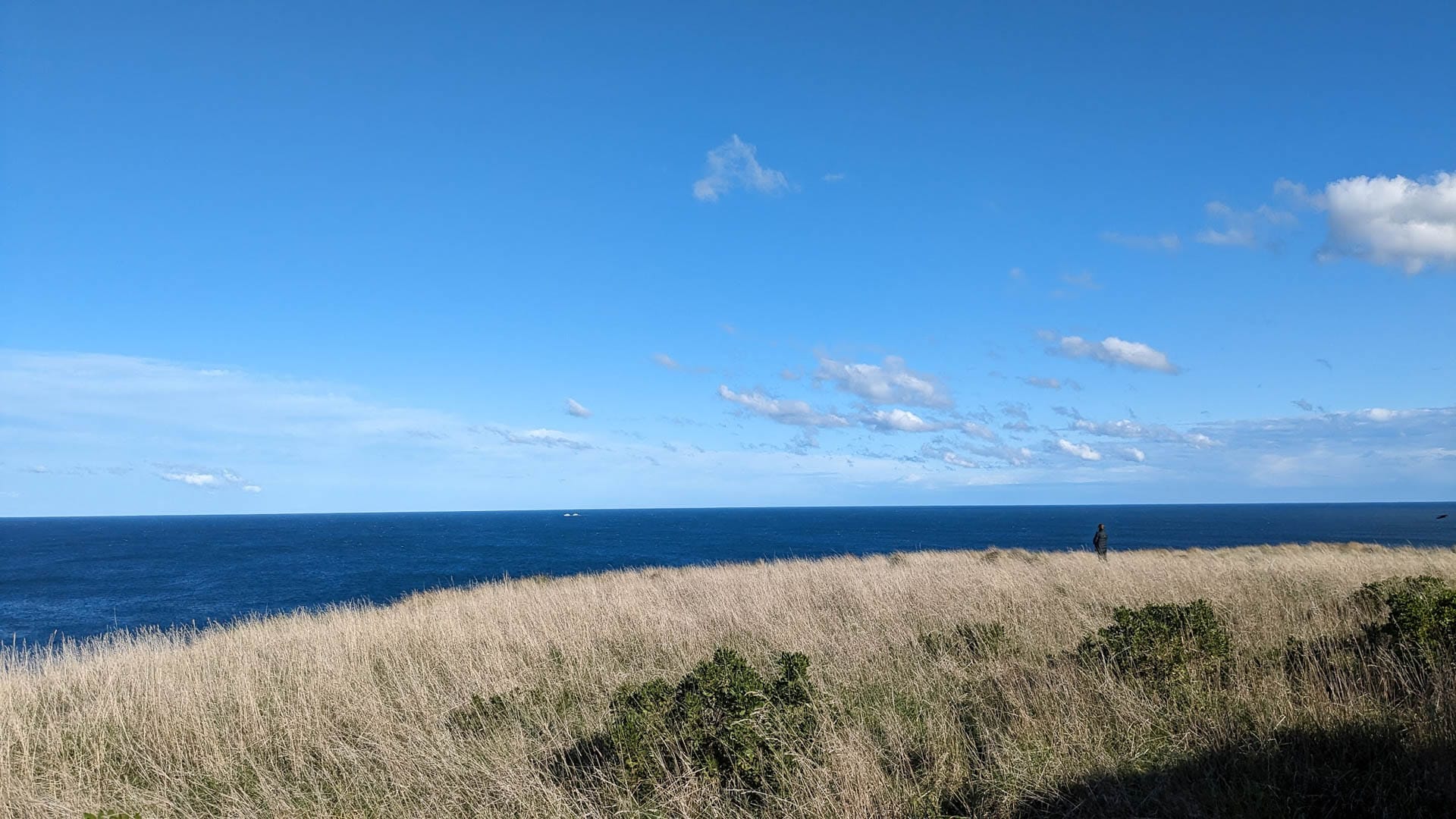South Gippsland's Seaside Gem: The George Bass Coastal Walk, Jess Nehme, South Gippsland, Hiker, day hike, Victorian coast, dry grass, coastal view
