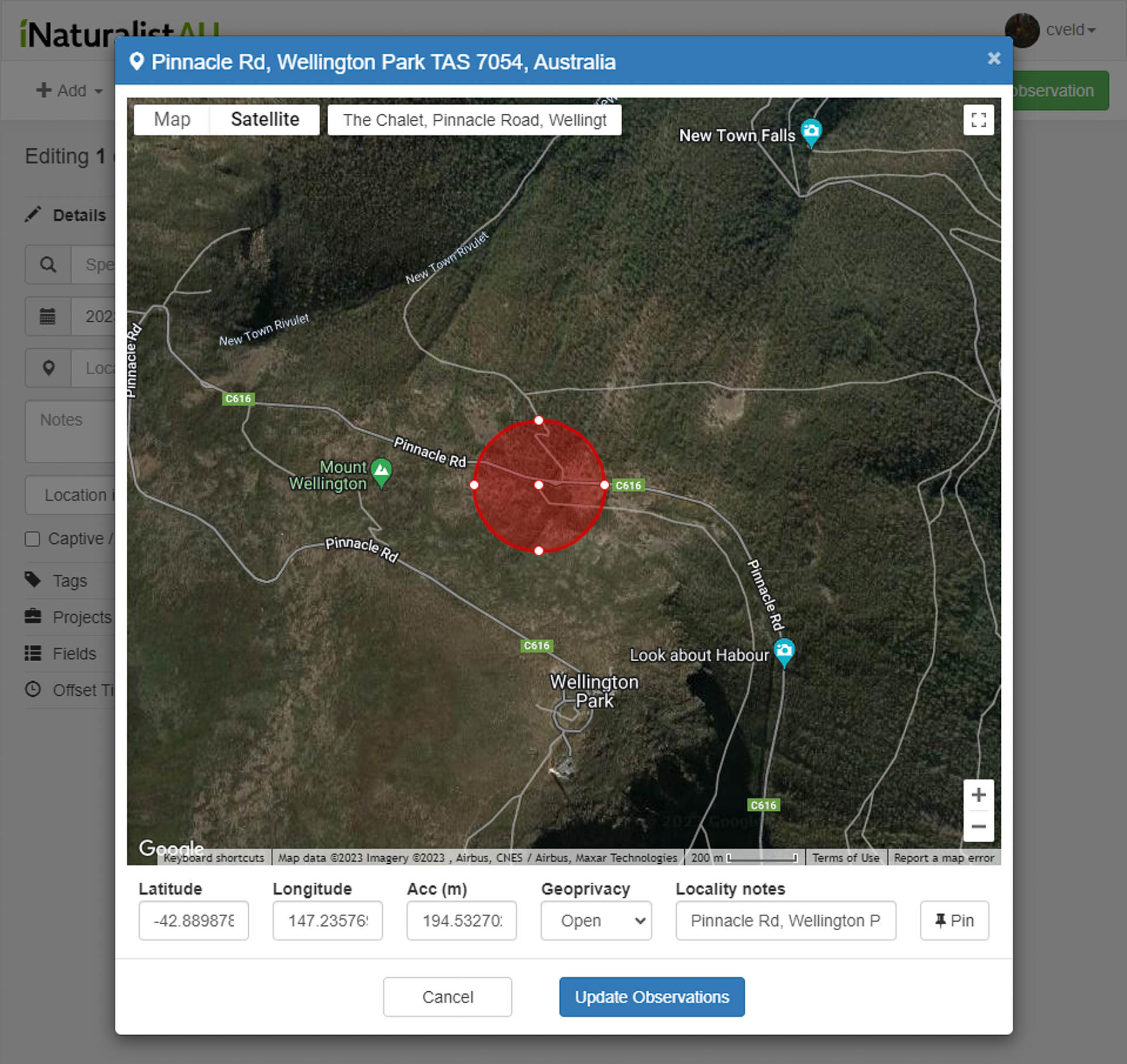 How To Identify an Australian Native Plant, australian native flower, lutruwita, tasmania, kunanyi, mt wellington, Bauera rubioides, macro shot of native flower, photography, wildlife, flora, botany, plant identification, satellite view of mount wellington, map of mount wellington area