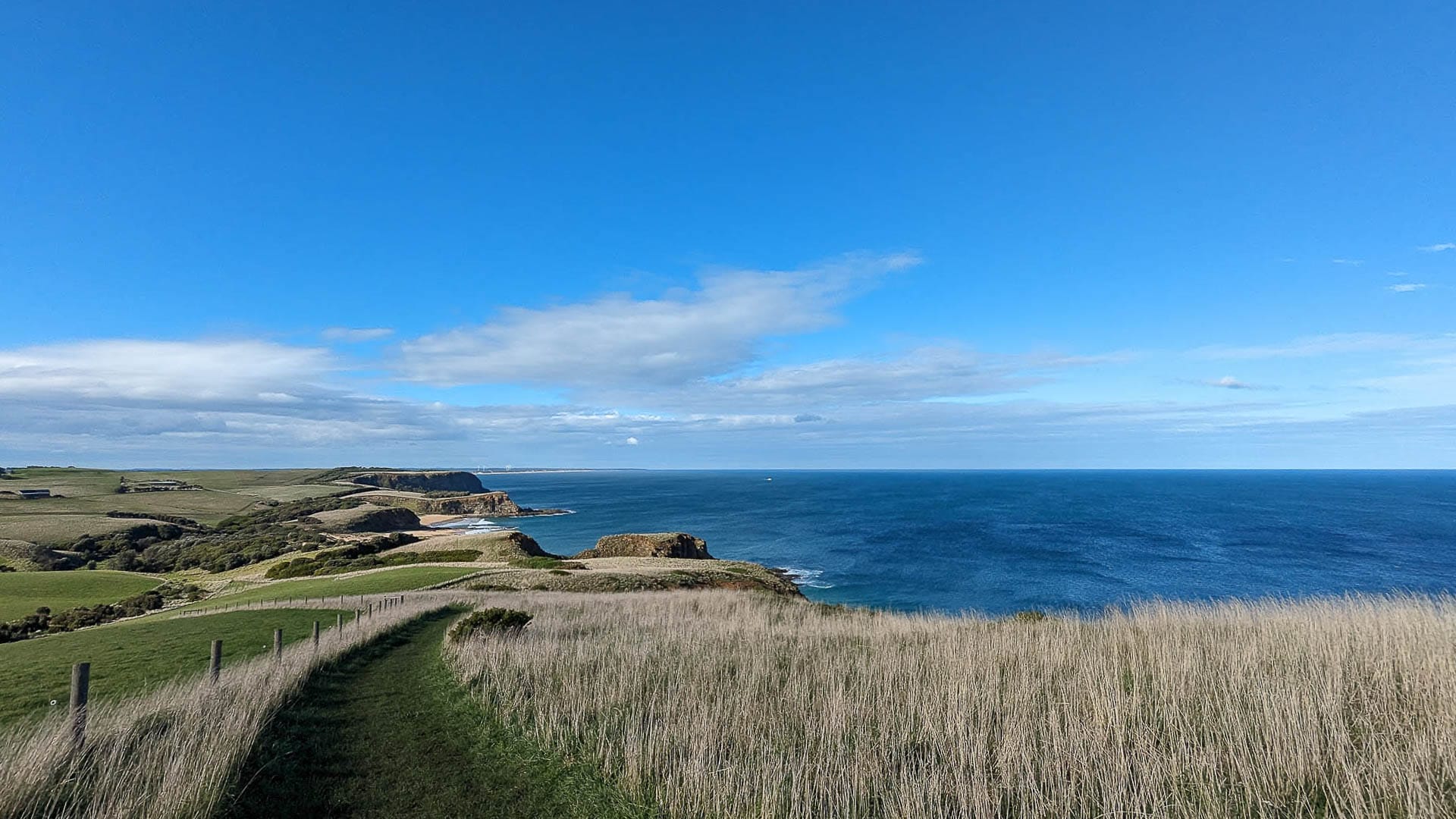 South Gippsland's Seaside Gem: The George Bass Coastal Walk, Jess Nehme, South Gippsland, grass, coastal view, blue sky, Victoria